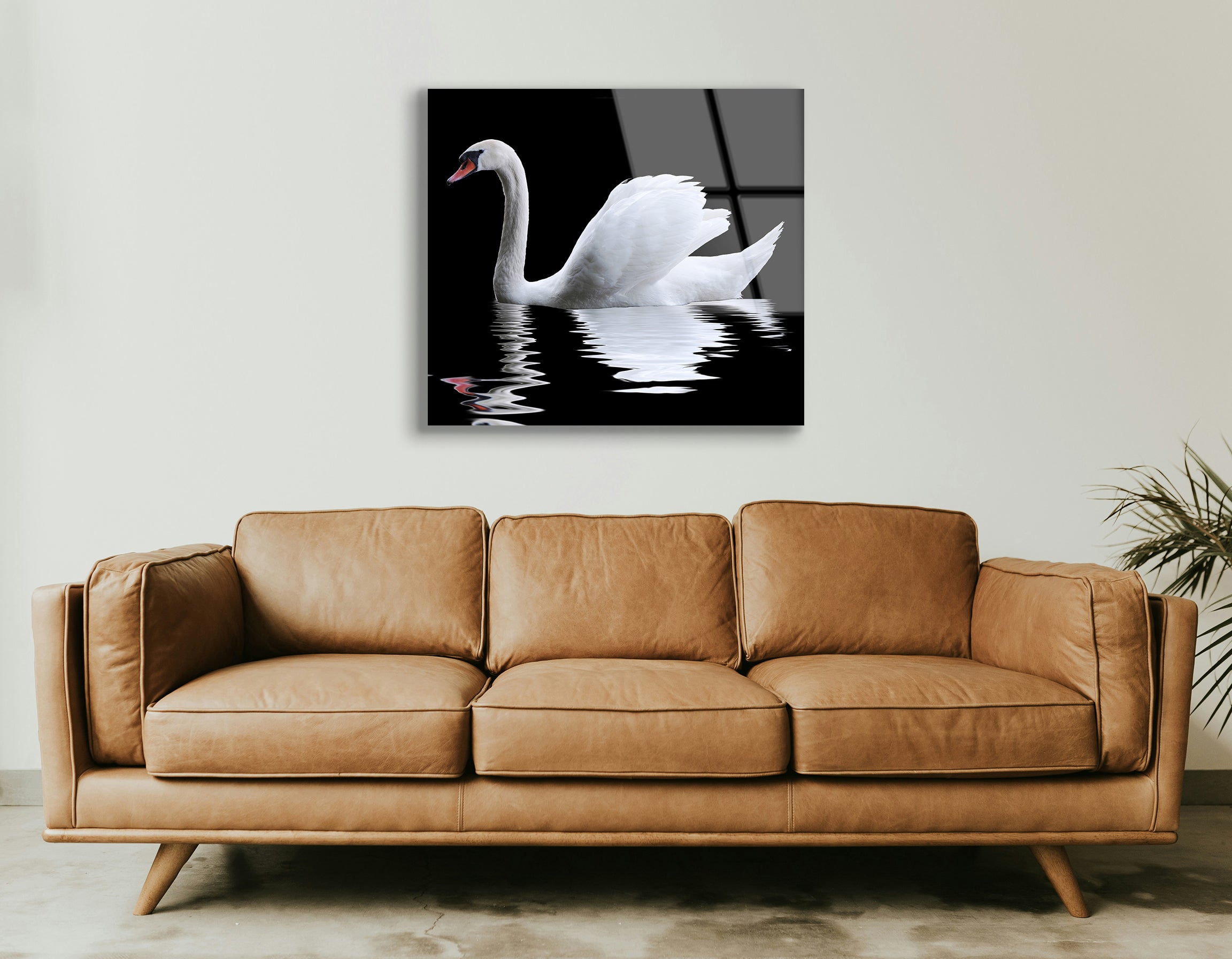 Swan on Black Background | Premium HD Metal Wall Art