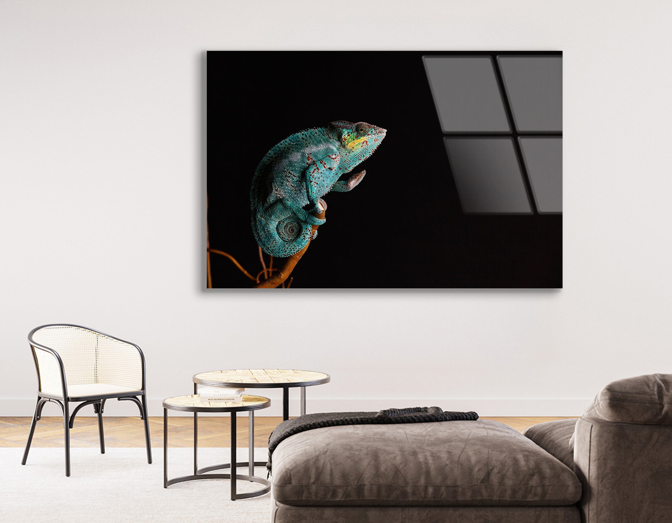 Furcifer Pardalis Chameleon | Premium HD Metal Wall Art