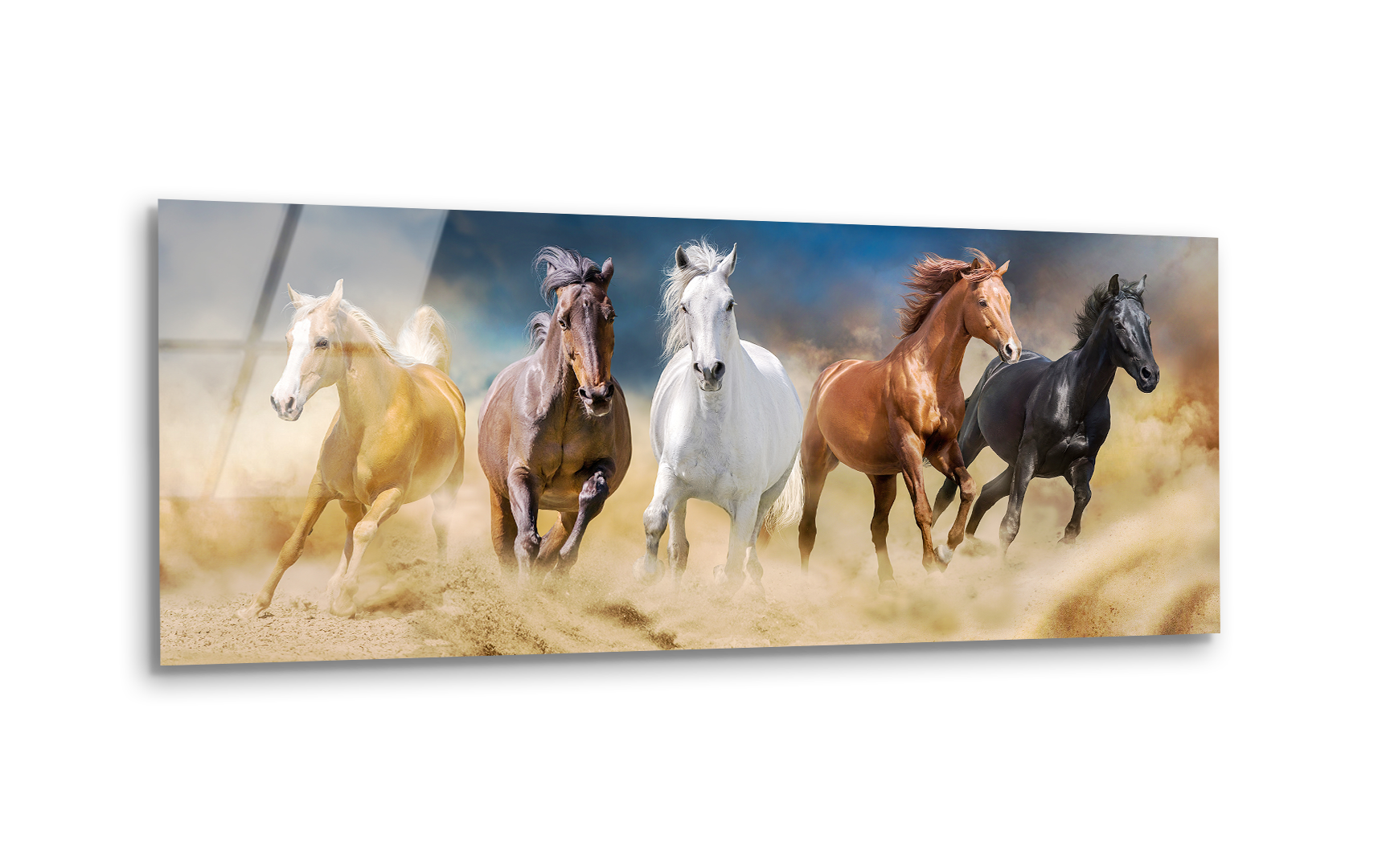 Herd of Horses in Desert Storm | Premium HD Metal Wall Art