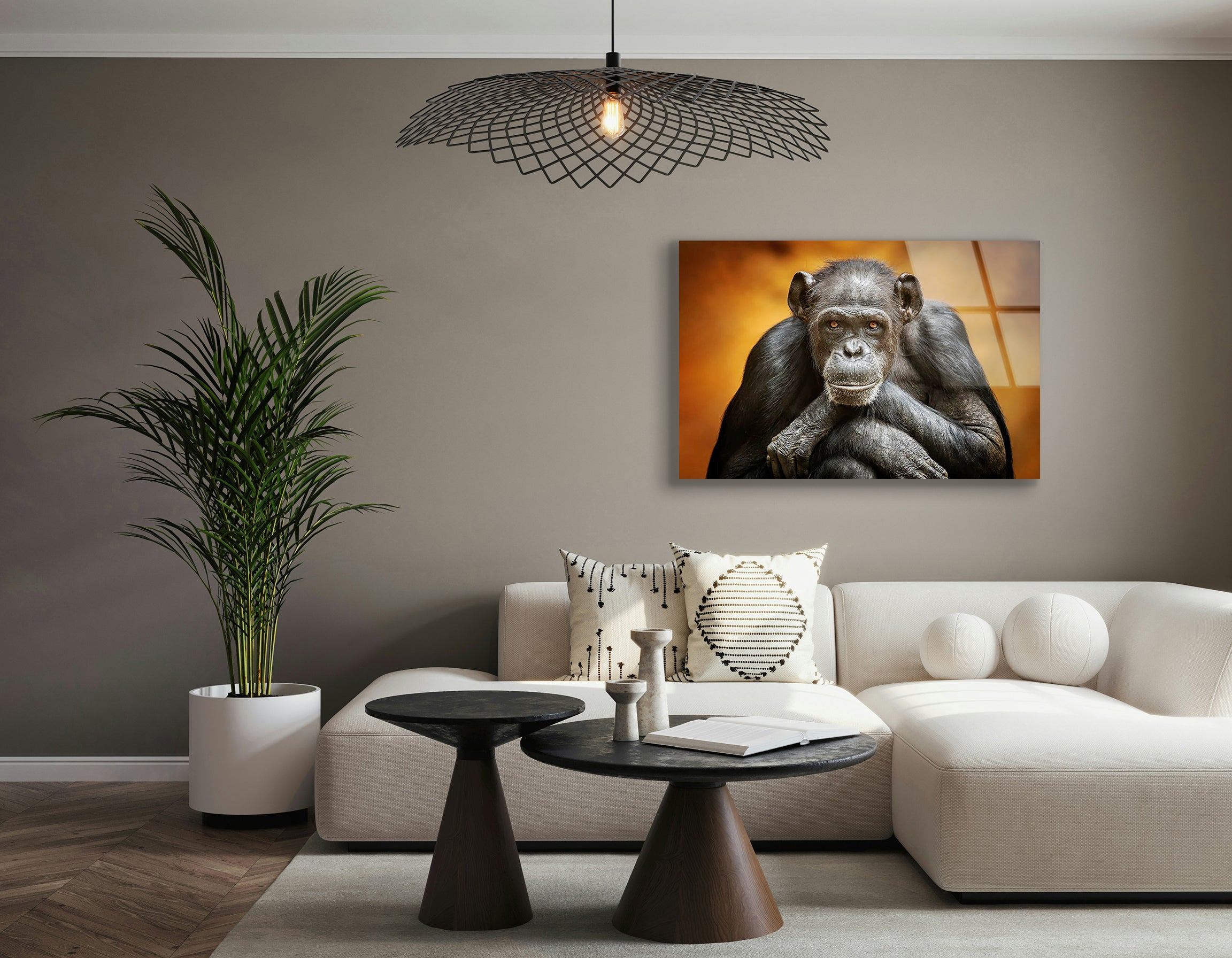 Portrait of a Chimpanzee | Premium HD Metal Wall Art