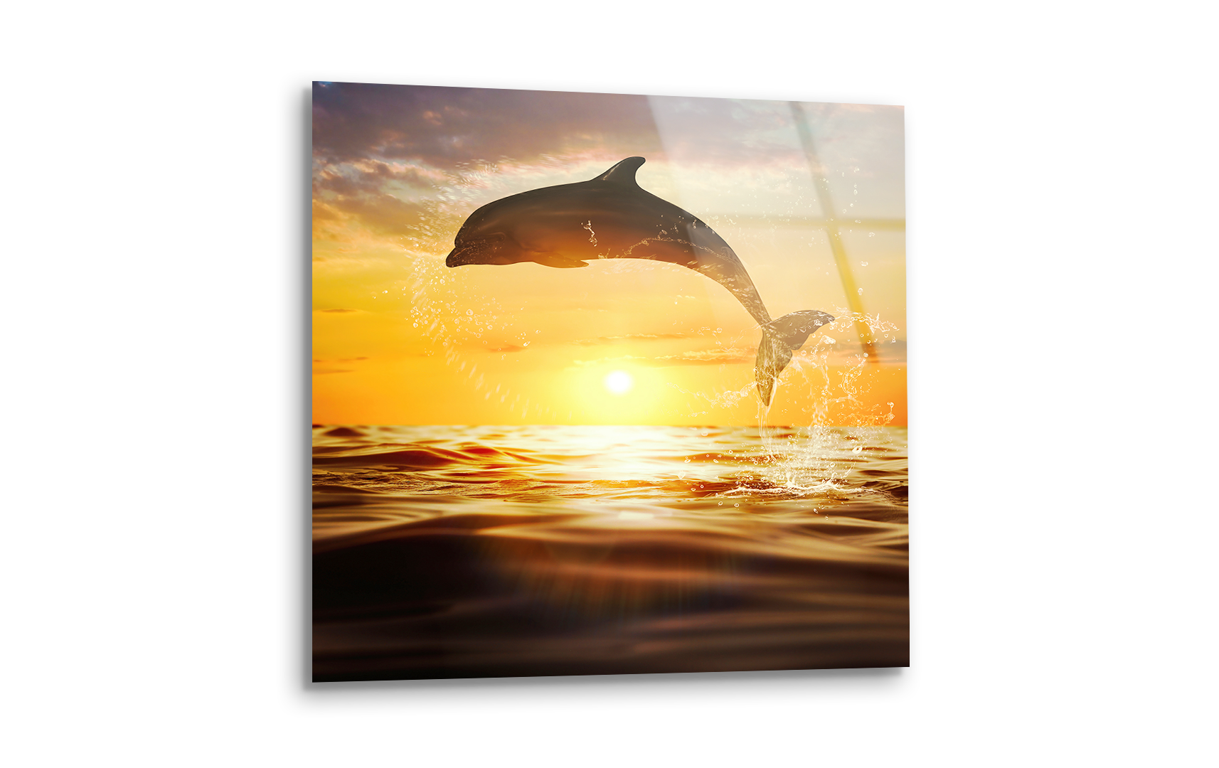 Bottlenose Dolphin Jumping at Sunset | Premium HD Metal Wall Art