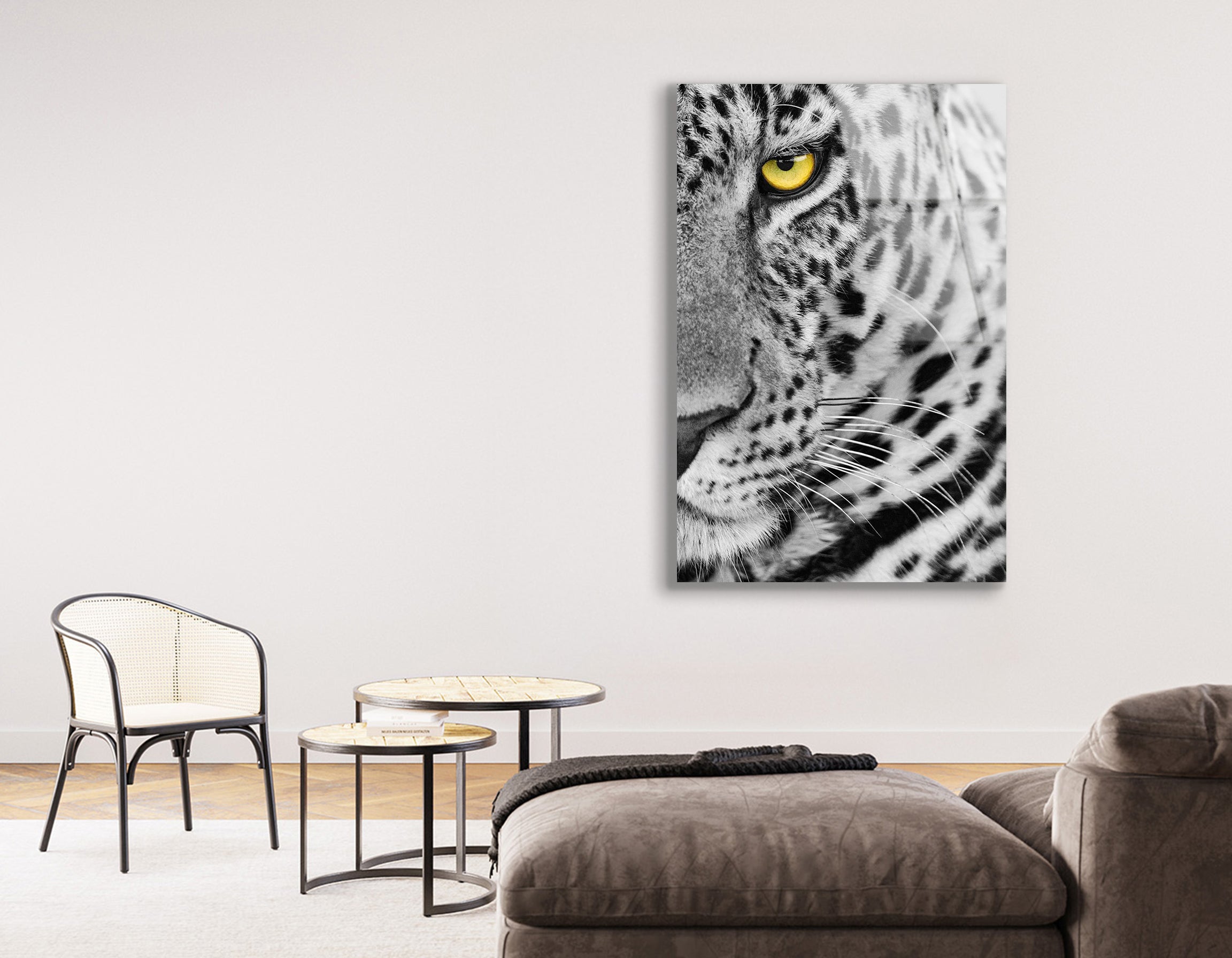 Female Leopard with Frightening Eye | Premium HD Metal Wall Art