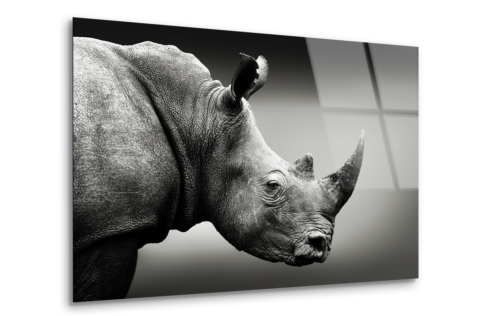 Monochrome Rhinoceros Portrait | Premium HD Metal Wall Art