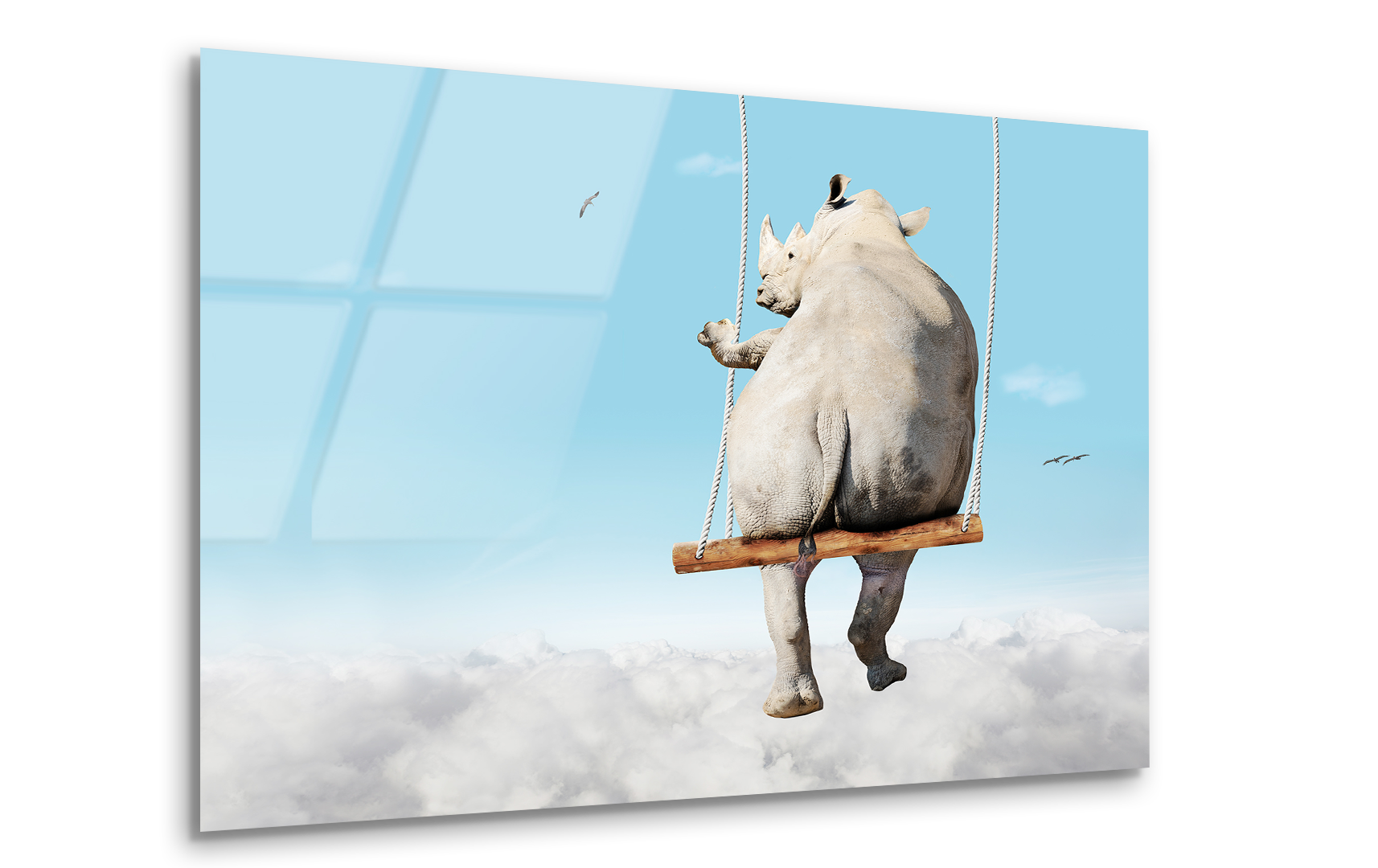 Rhino Swinging on a Swing Bar | Premium HD Metal Wall Art