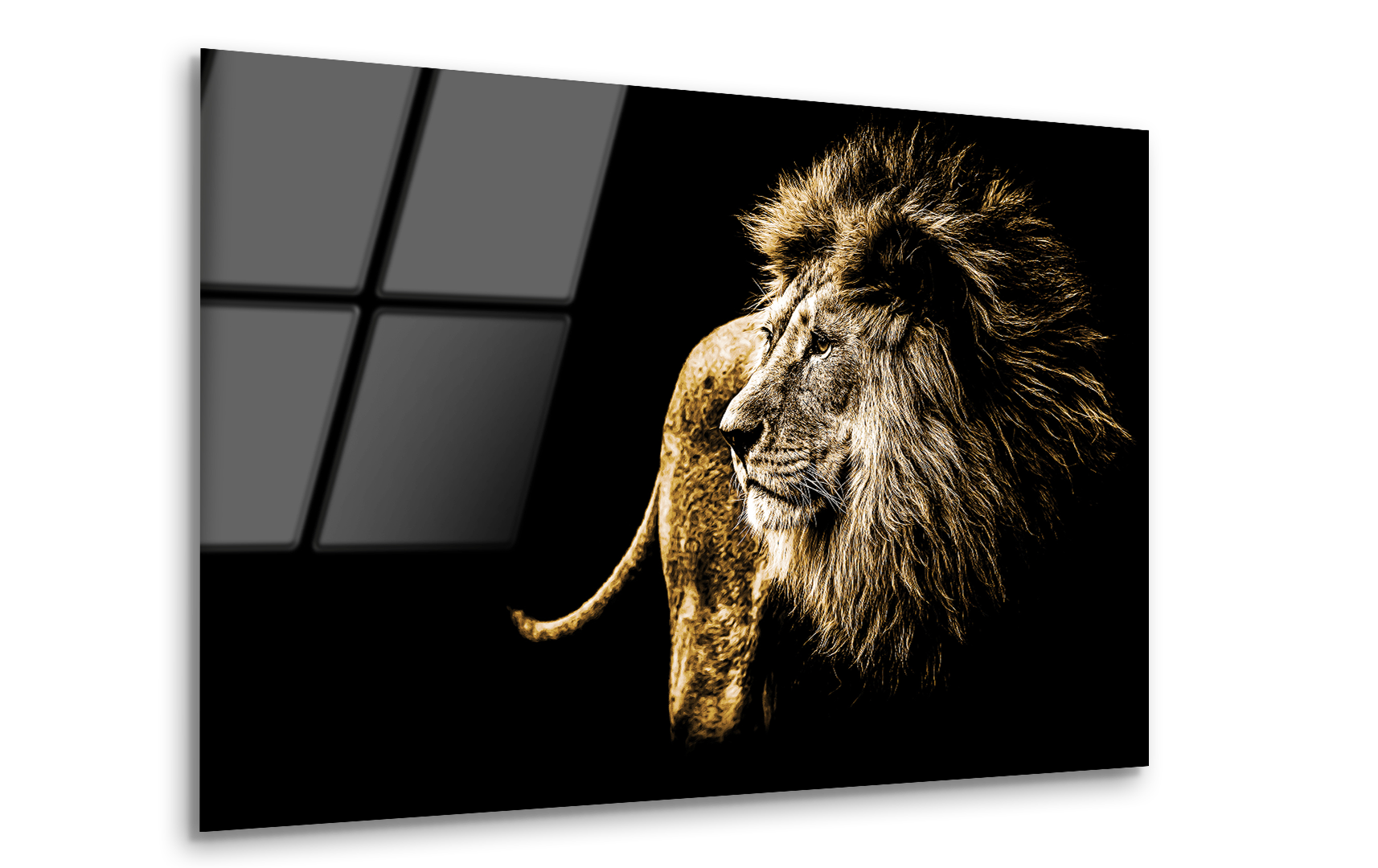 Lion Portrait in Bright Golden Colors | Premium HD Metal Wall Art