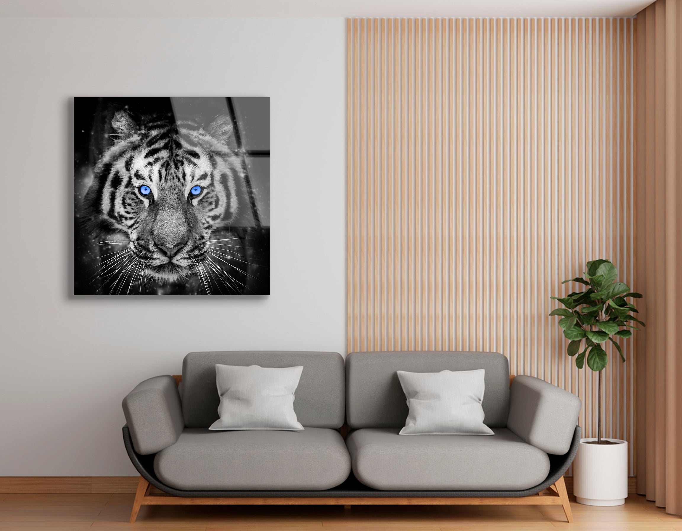 Adult Tiger with Blue Eye | Premium HD Metal Wall Art