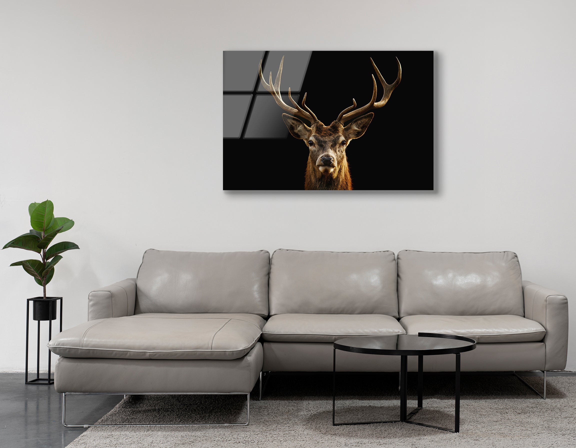 Red Deer Portrait on Black Background | Premium HD Metal Wall Art