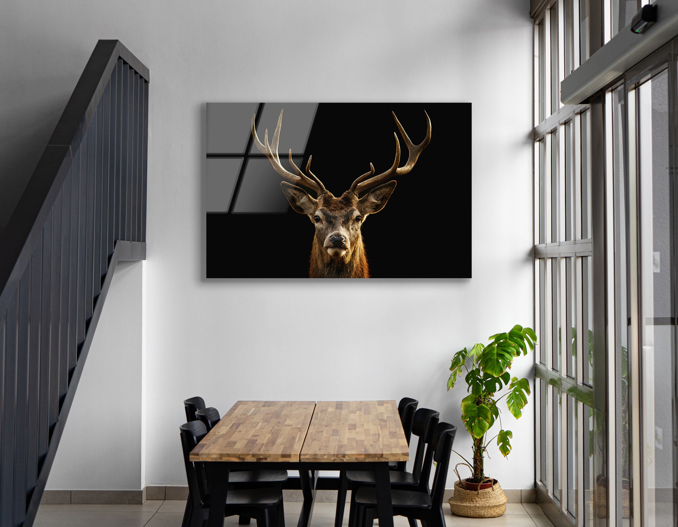Red Deer Portrait on Black Background | Premium HD Metal Wall Art