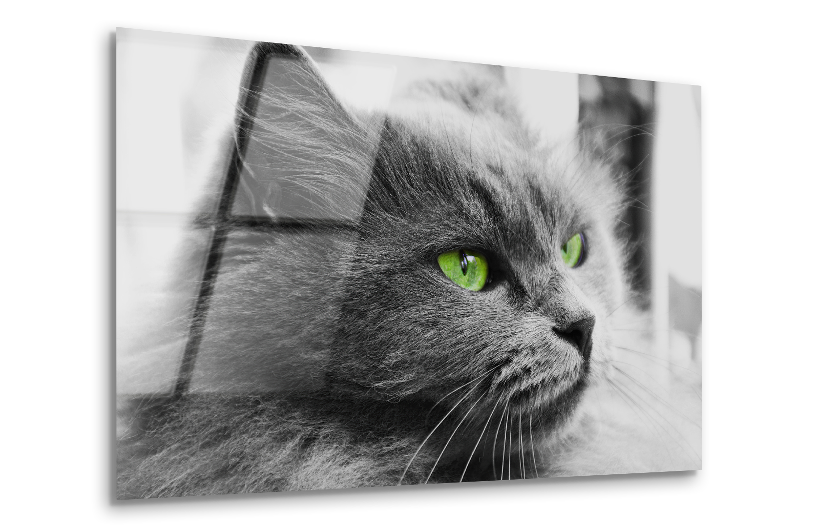 Side Portrait of a Cat | Premium HD Metal Wall Art