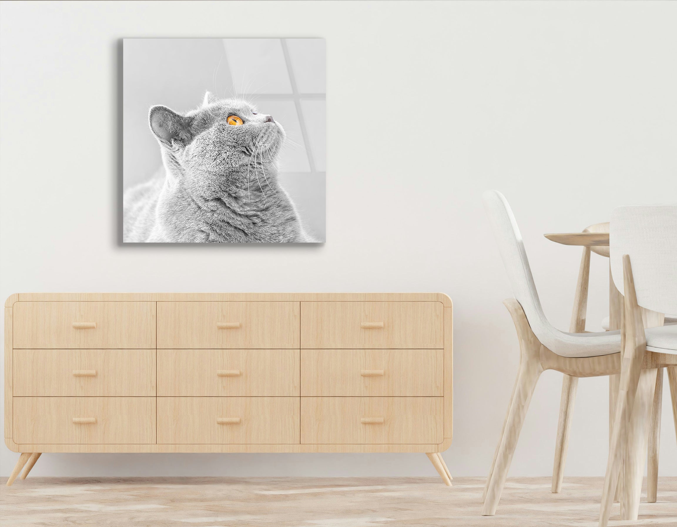 Gray British Shorthair Cat Close-Up | Premium HD Metal Wall Art