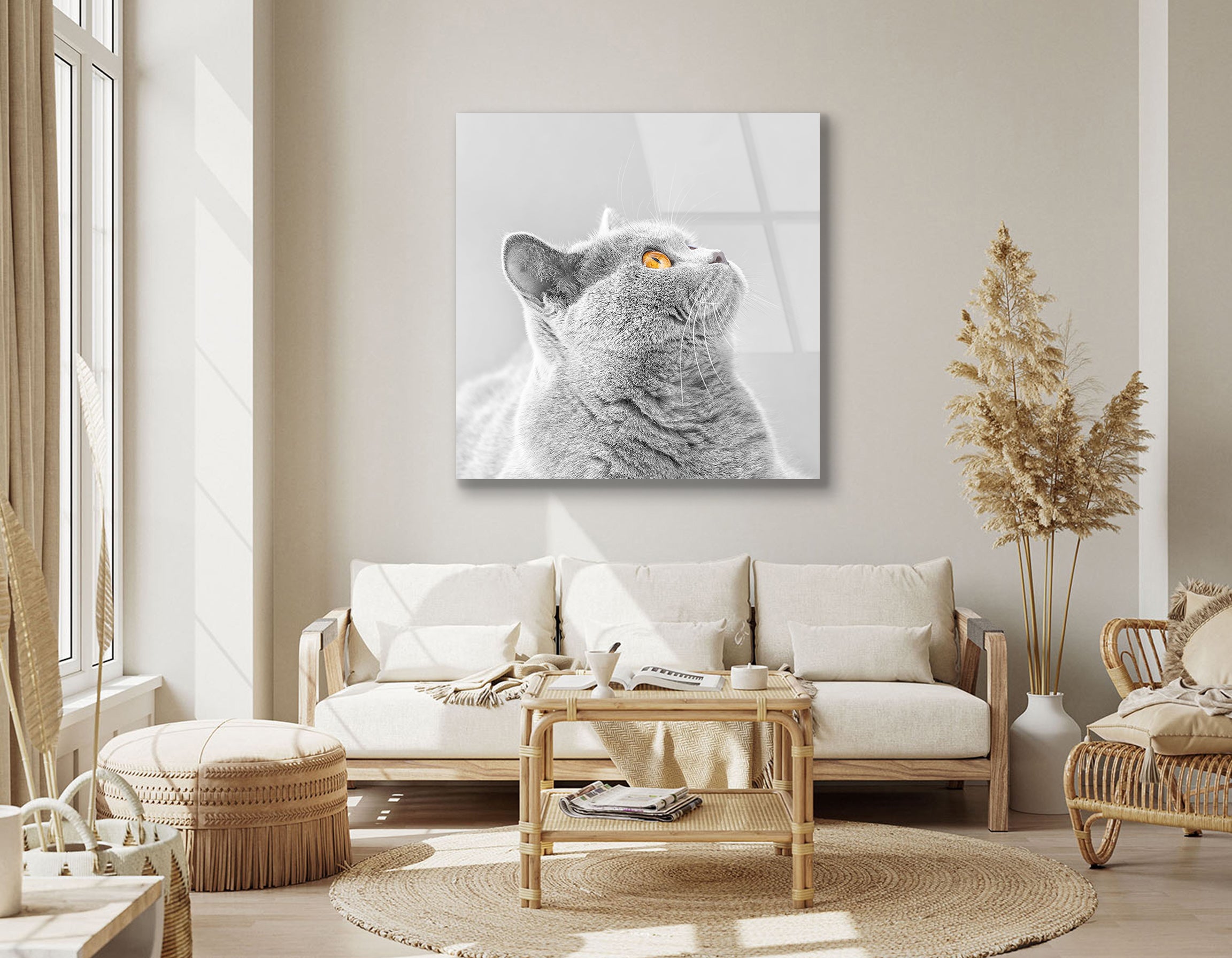 Gray British Shorthair Cat Close-Up | Premium HD Metal Wall Art