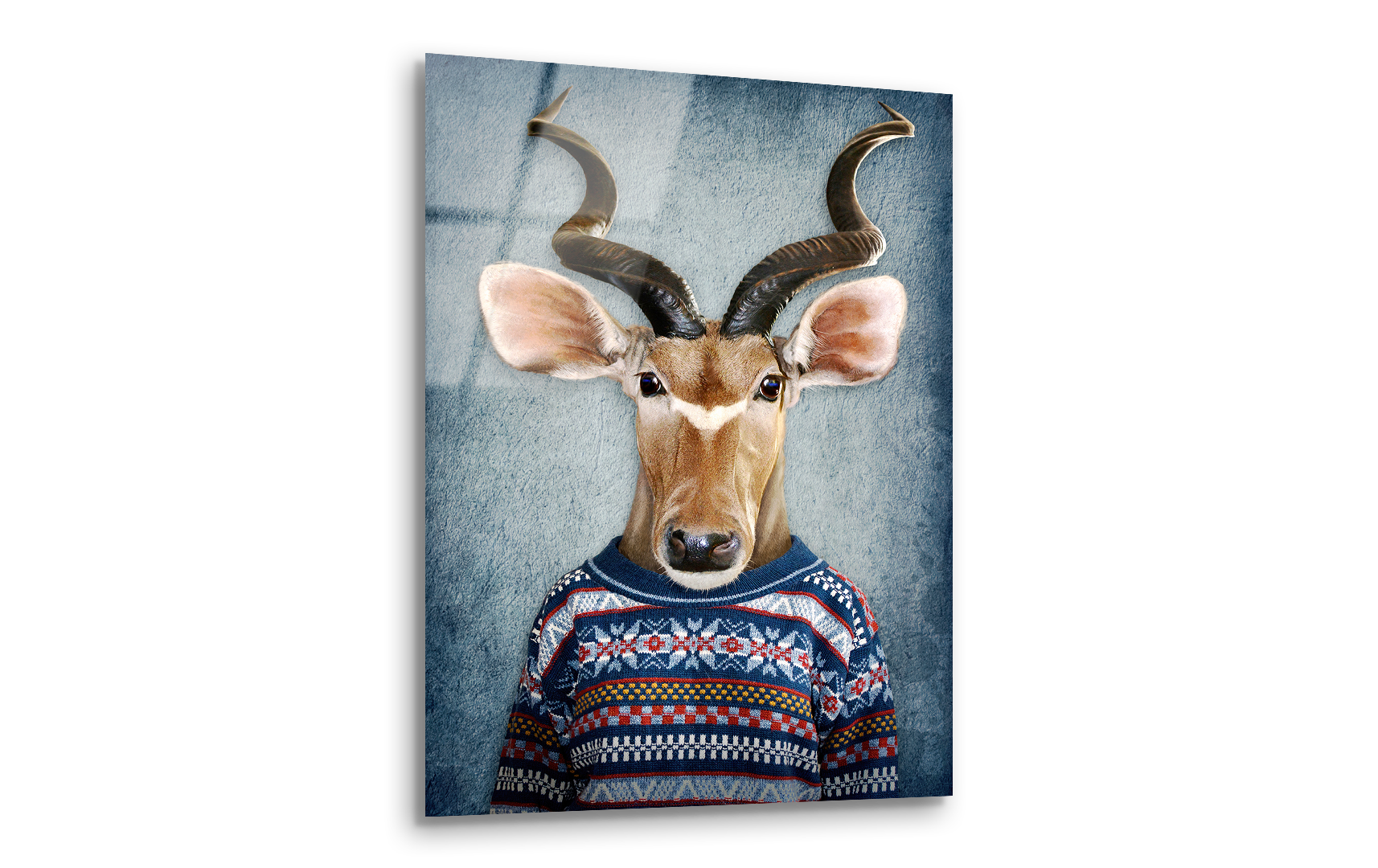 Antelope in Clothes | Premium HD Metal Wall Art