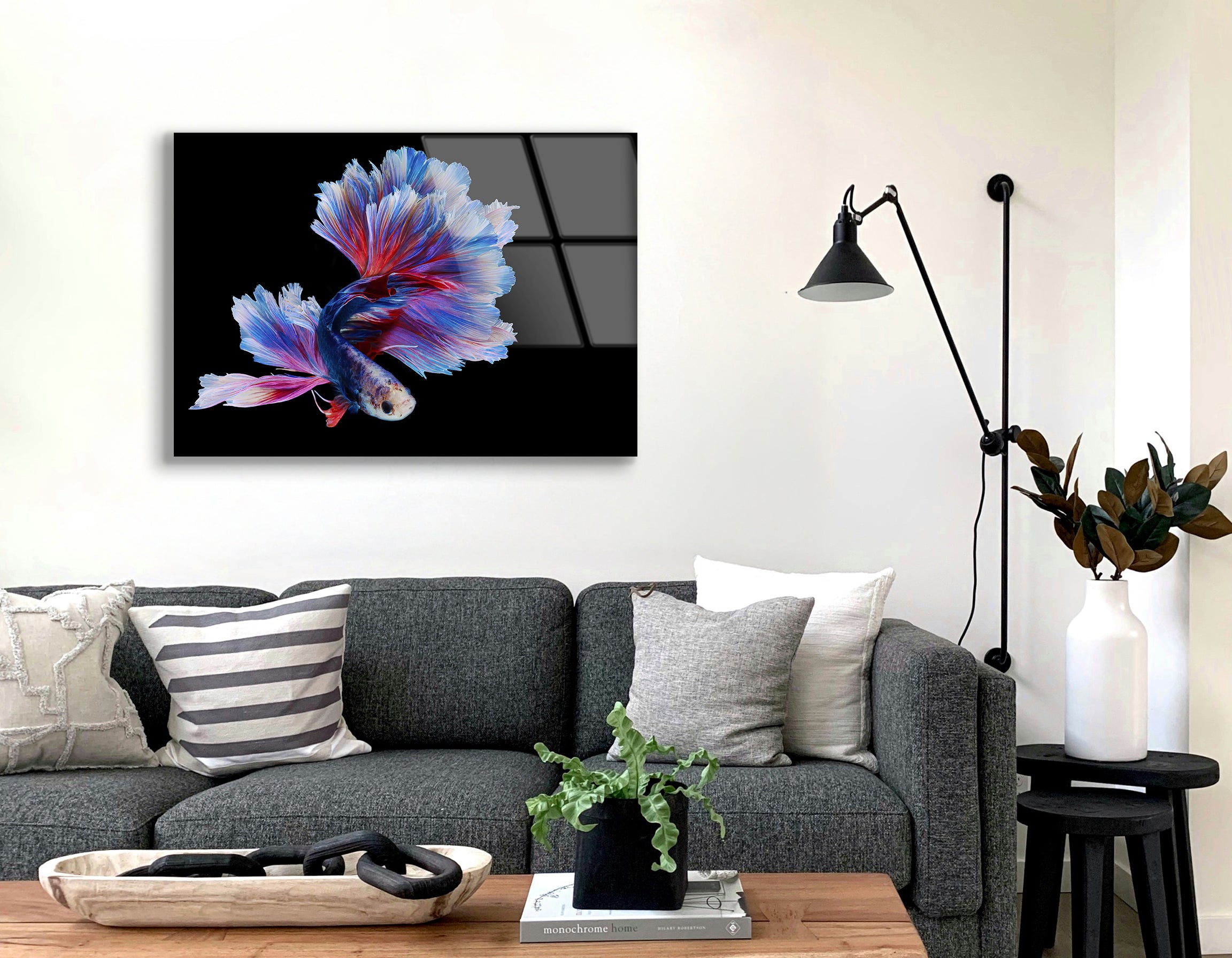 Rhythmic Red and Blue Betta Fish | Premium HD Metal Wall Art