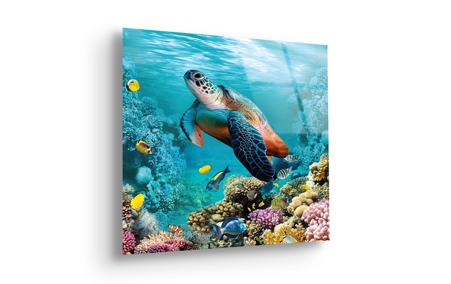 Underwater World 3D Floor Art | Premium HD Metal Wall Art