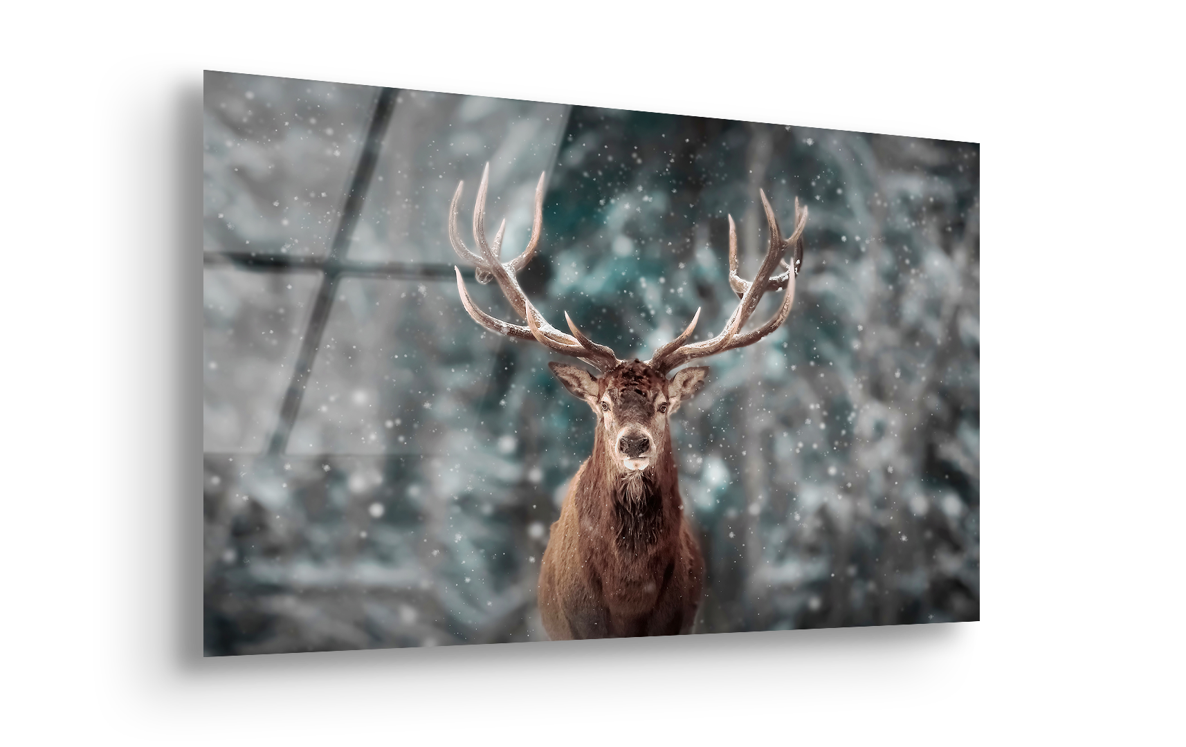 Winter Deer in Snowy Forest | Premium HD Metal Wall Art