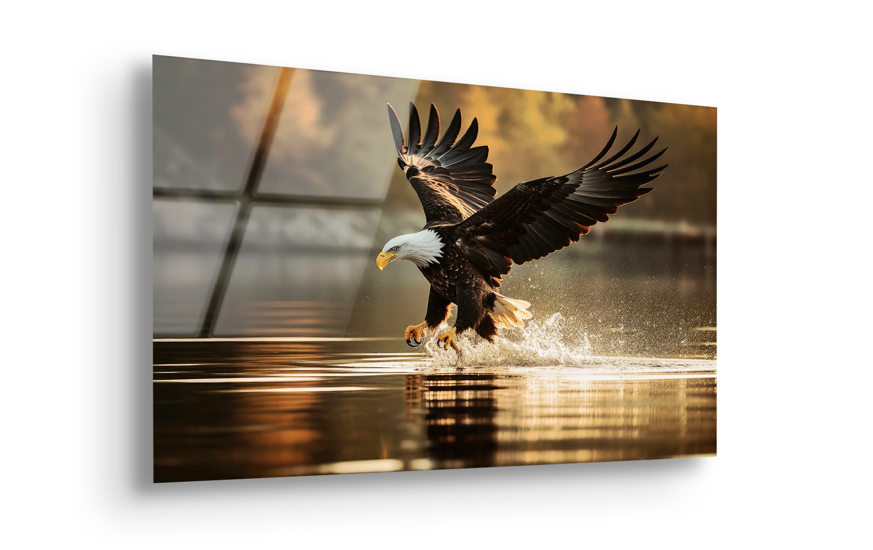 Eagle Catching Fish in Flight | Premium HD Metal Wall Art
