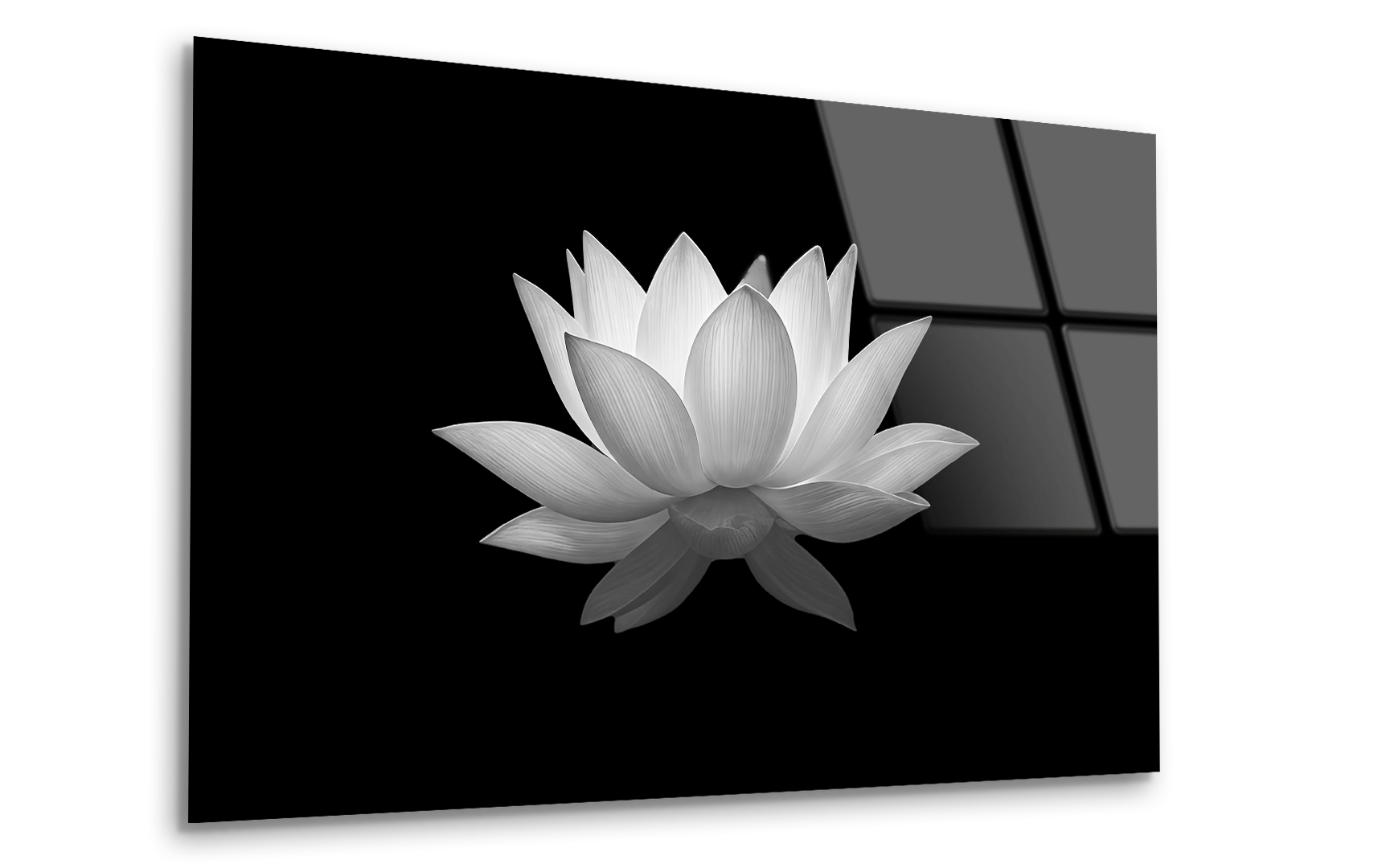 White Lotus Flower | Premium HD Metal Wall Art