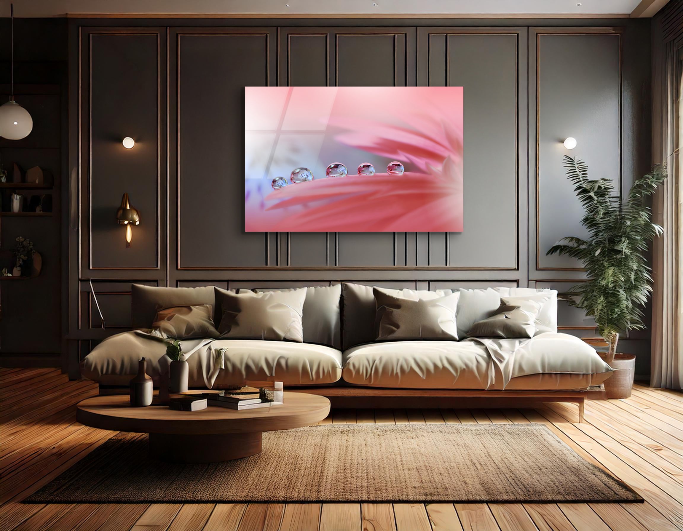 Gerbera Daisy Flower with Pastel Pink Background | Premium HD Metal Wall Art