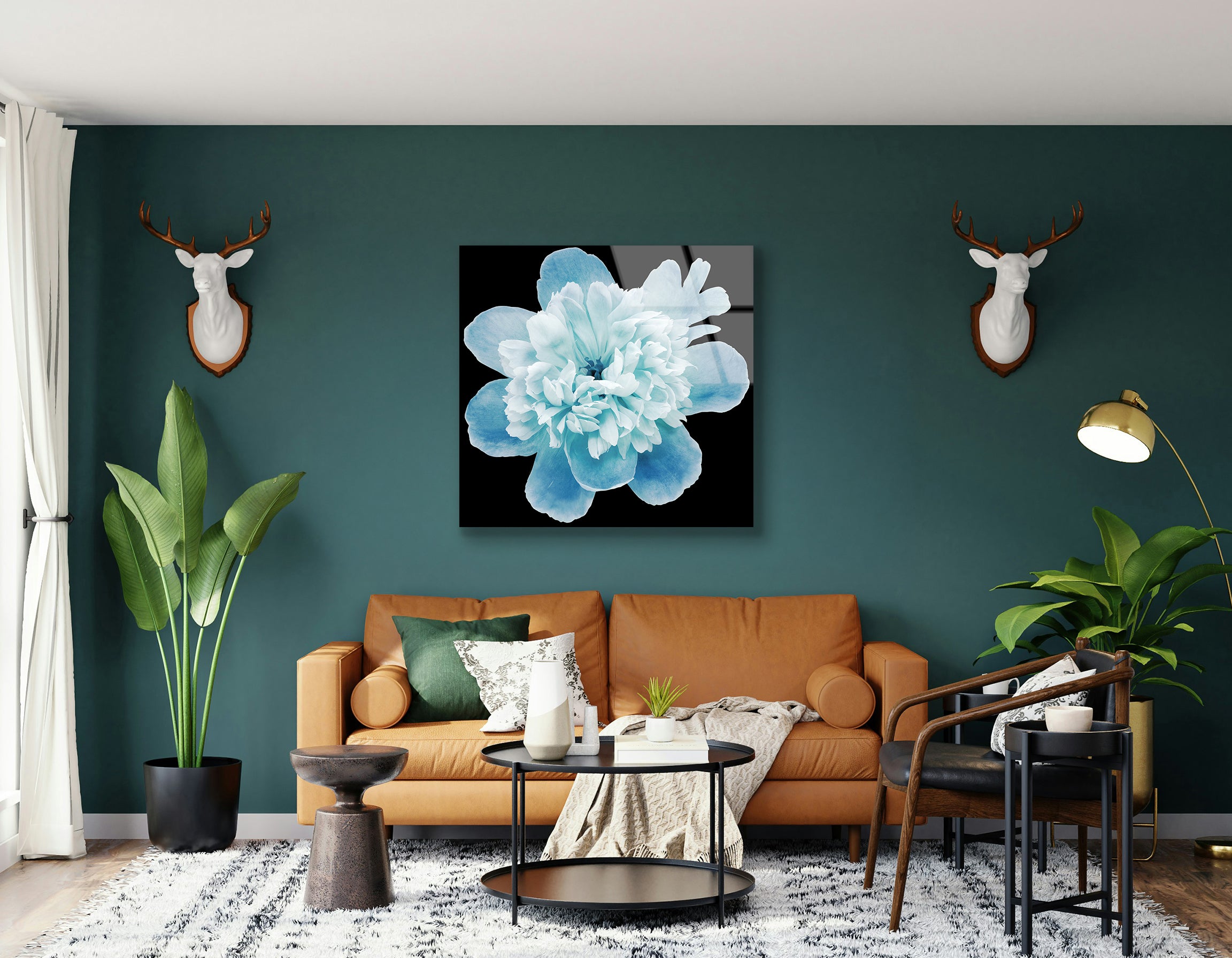 Blue Peony Flower on Black Isolated Background | Premium HD Metal Wall Art