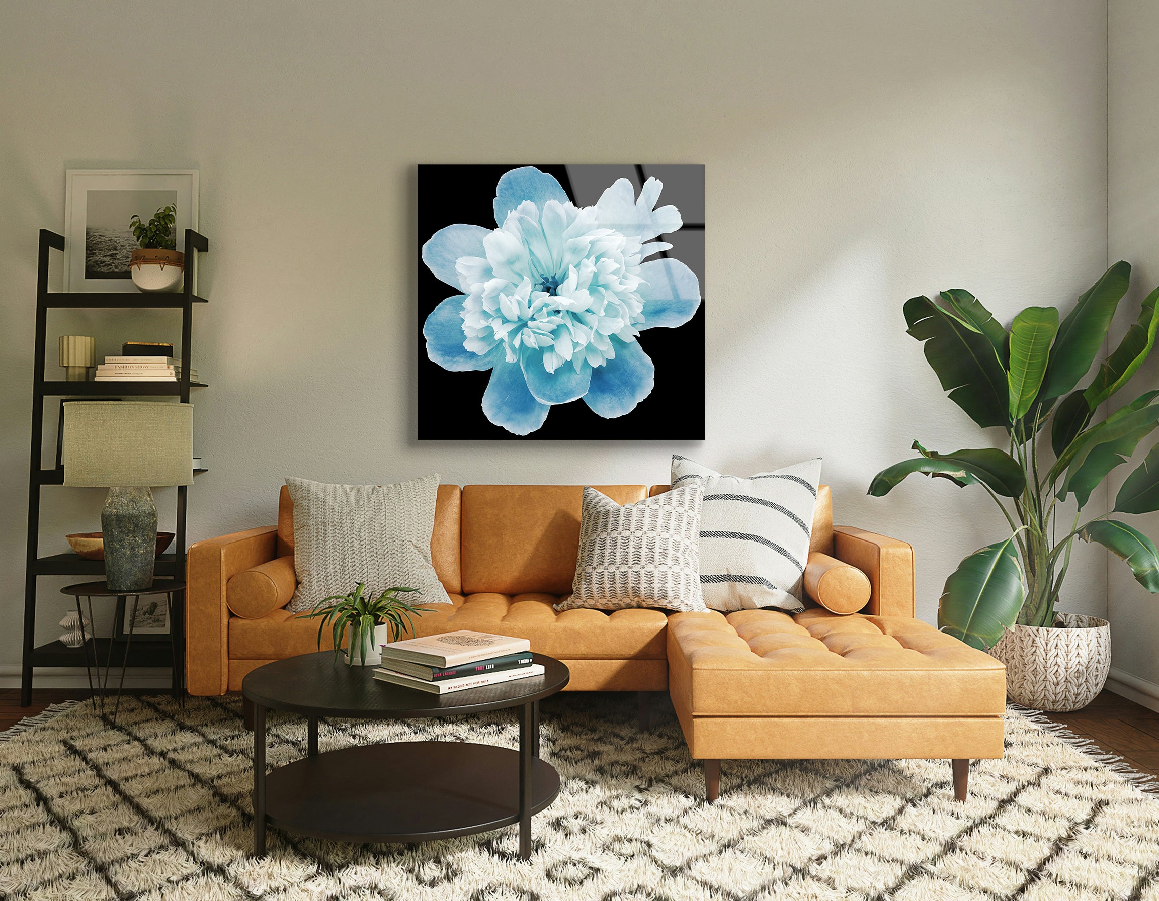 Blue Peony Flower on Black Isolated Background | Premium HD Metal Wall Art