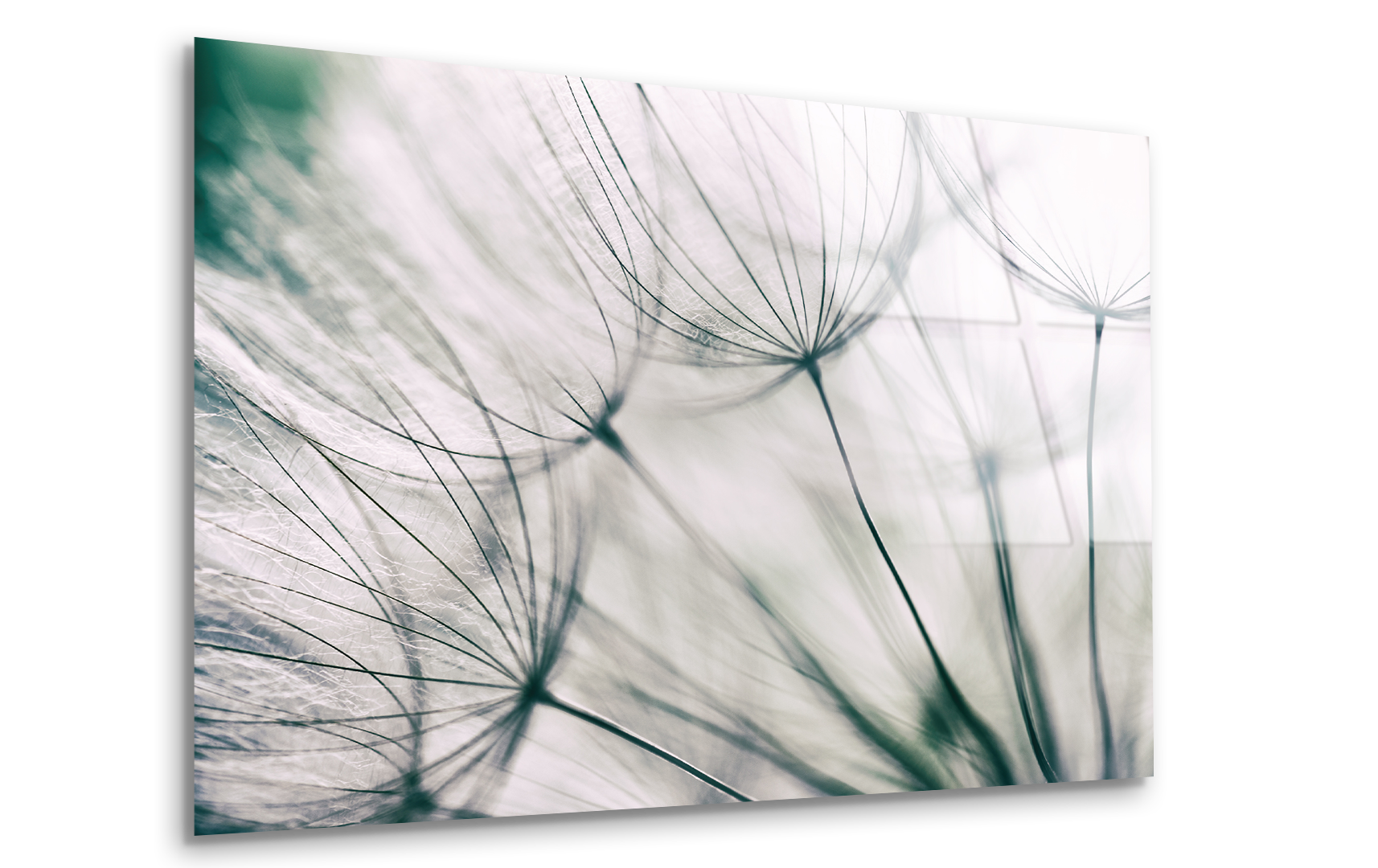 Vintage Effect Abstract Dandelion Flower Close-Up | Premium HD Metal Wall Art