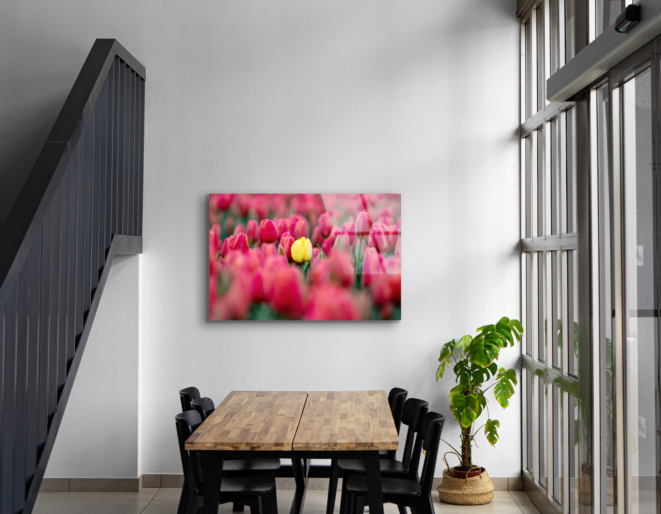 Field of Tulips with Bright Yellow Tulip | Premium HD Metal Wall Art