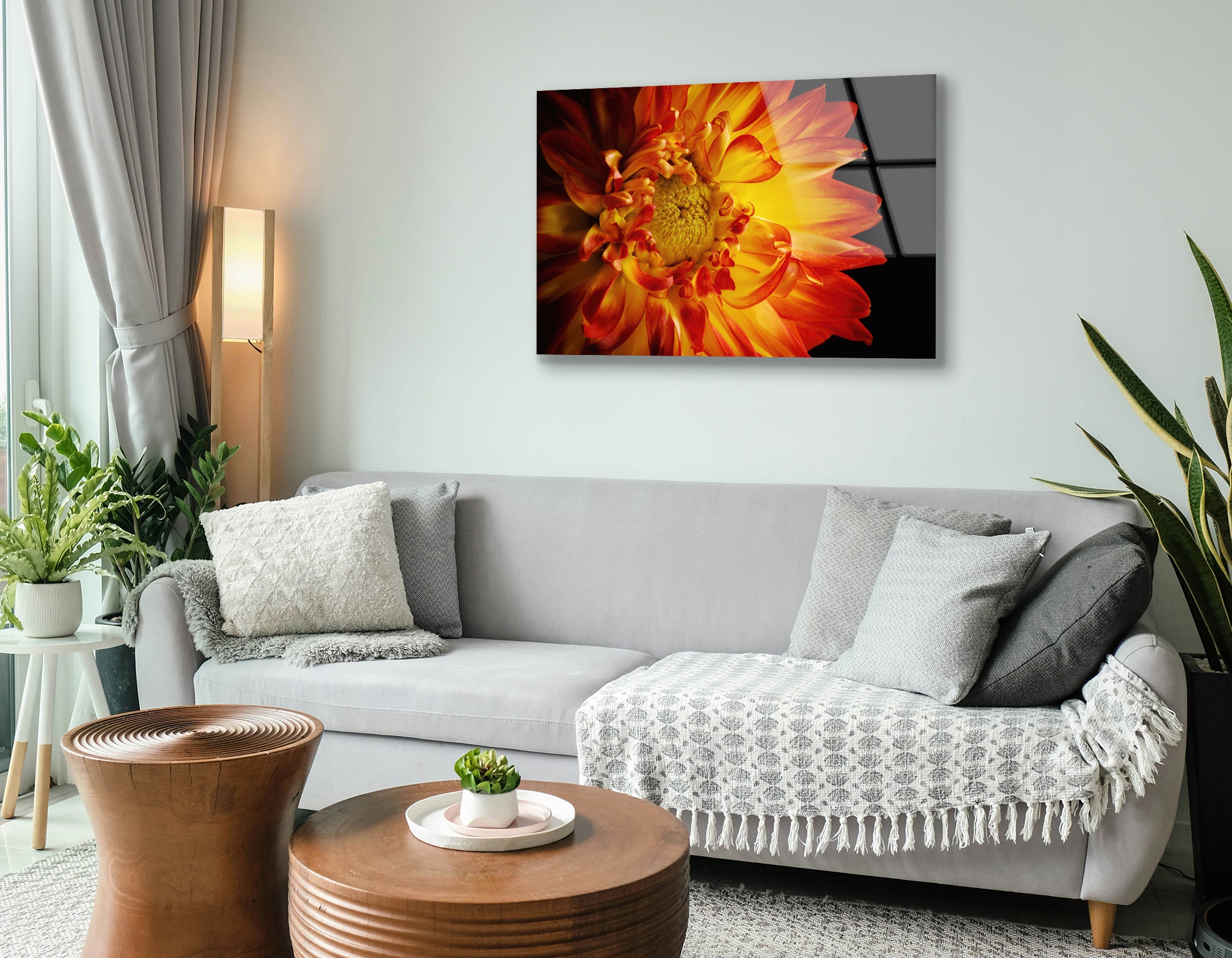 The Center of a Gerbera Daisy | Premium HD Metal Wall Art