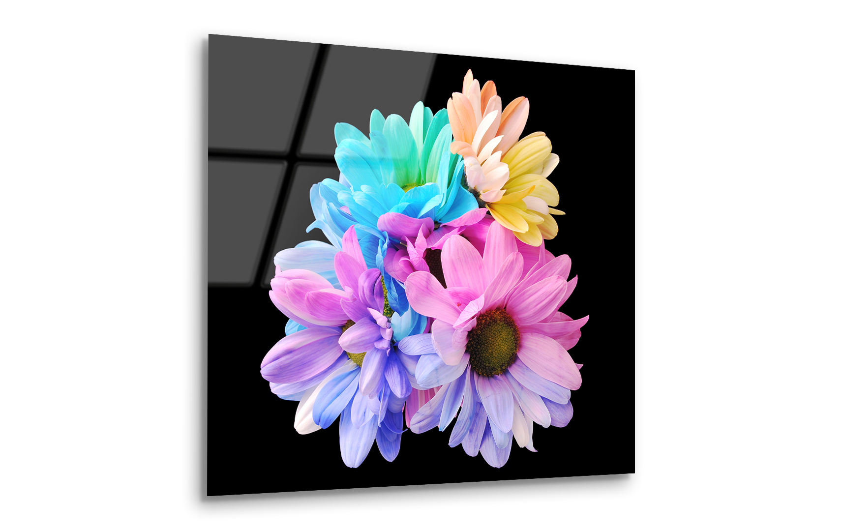 Colorful Flower Heads | Premium HD Metal Wall Art