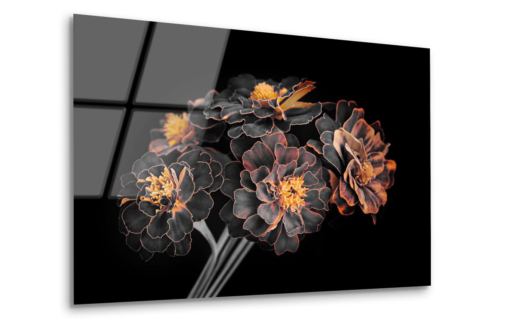 Garden Flowers with Orange-Edged Petals | Premium HD Metal Wall Art