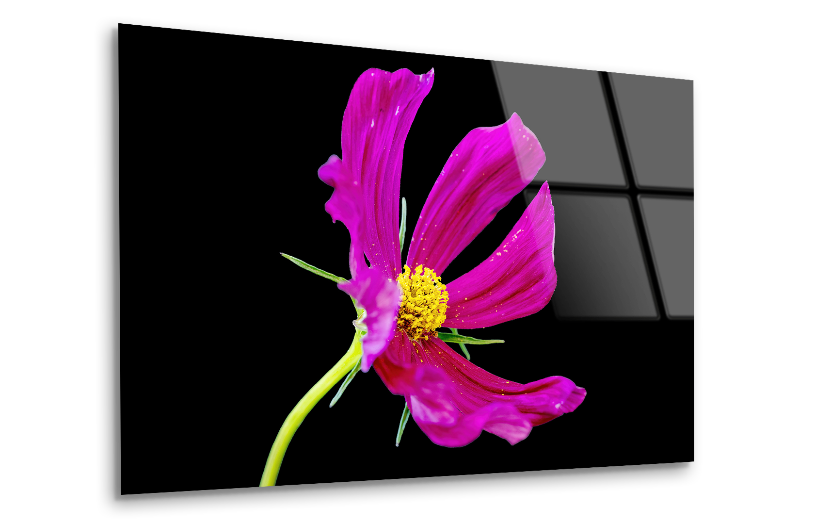 Colorful Summer Flowers in the Sunshine | Premium HD Metal Wall Art