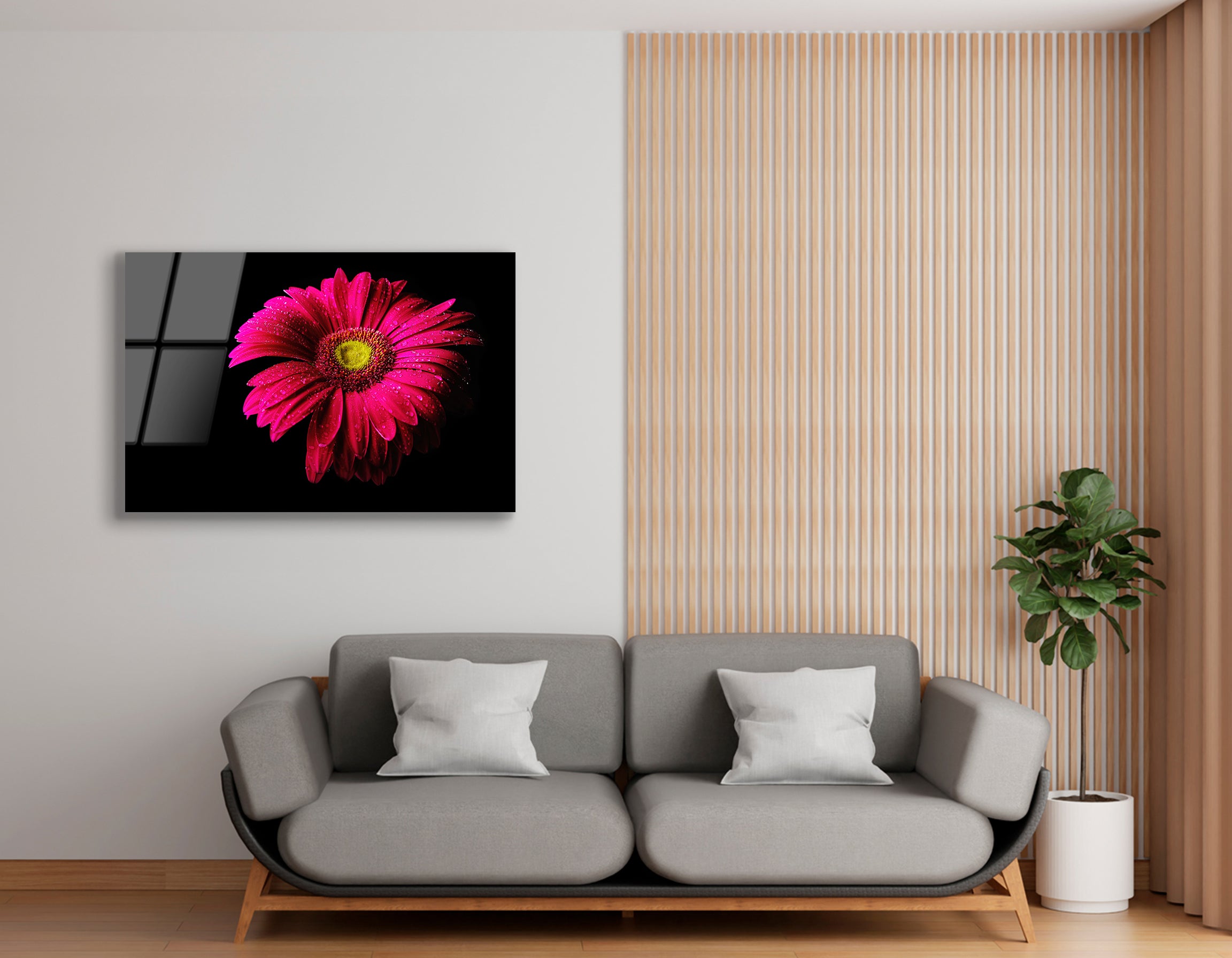 Gerbera Flower with Water Drops on Black Background | Premium HD Metal Wall Art