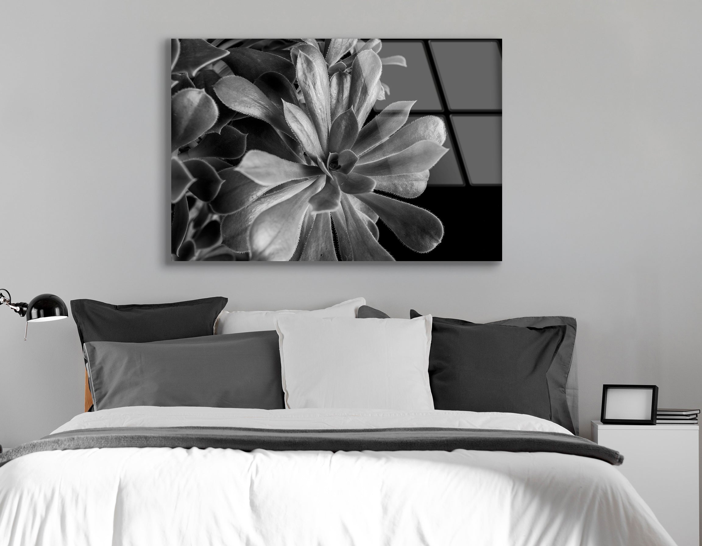 Close-Up of Succulent Plant | Premium HD Metal Wall Art
