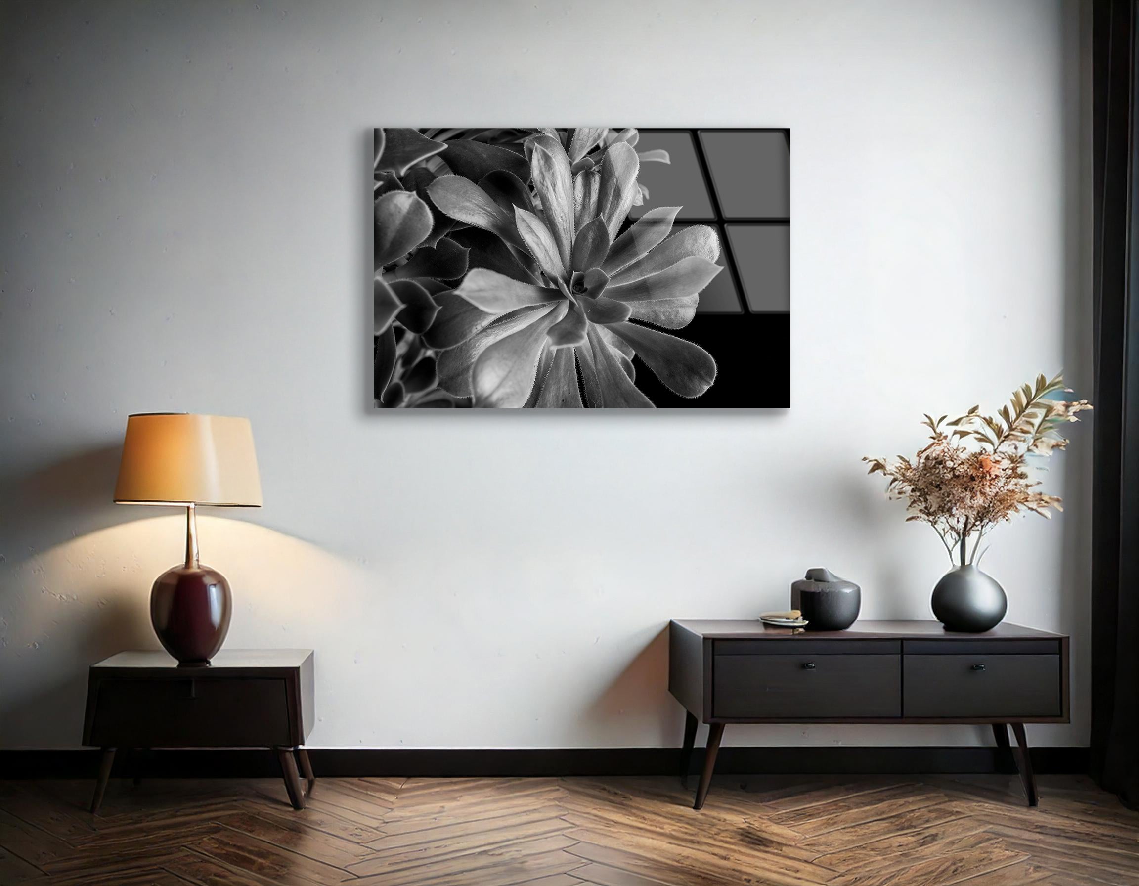 Close-Up of Succulent Plant | Premium HD Metal Wall Art