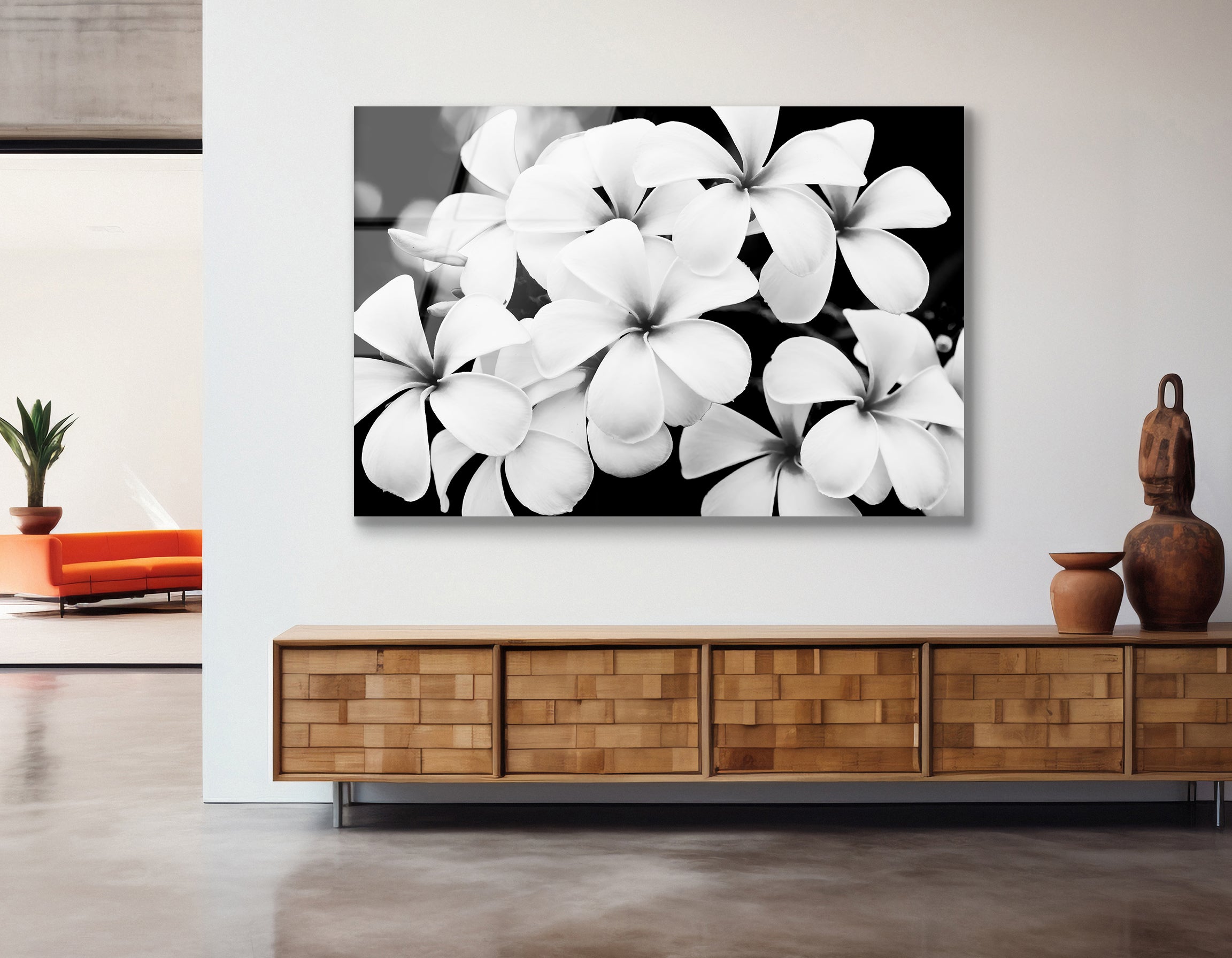 Black and White Plumeria Flowers | Premium HD Metal Wall Art