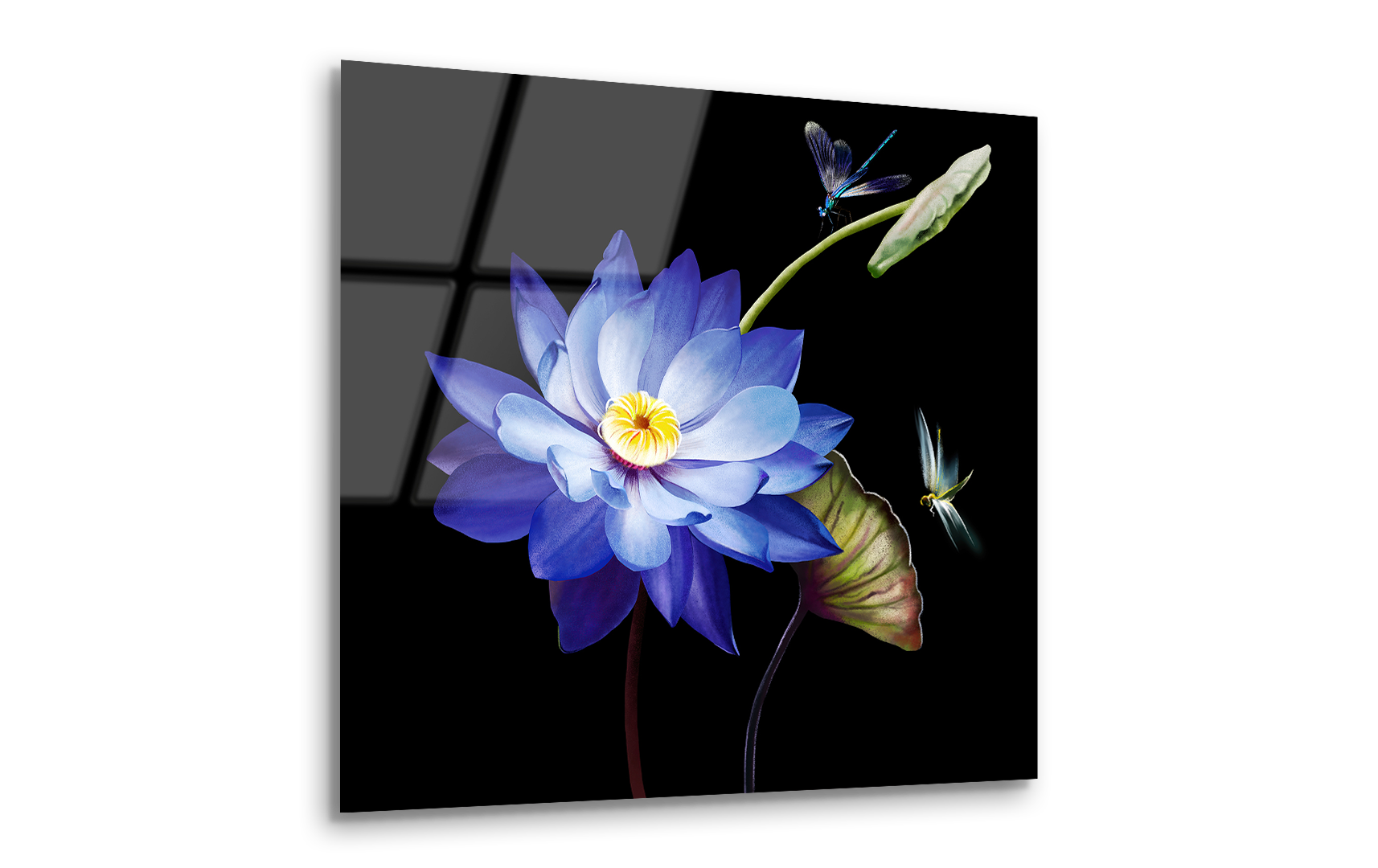 Luxury Purple Lotus Close-Up with Dragonflies | Premium HD Metal Wall Art