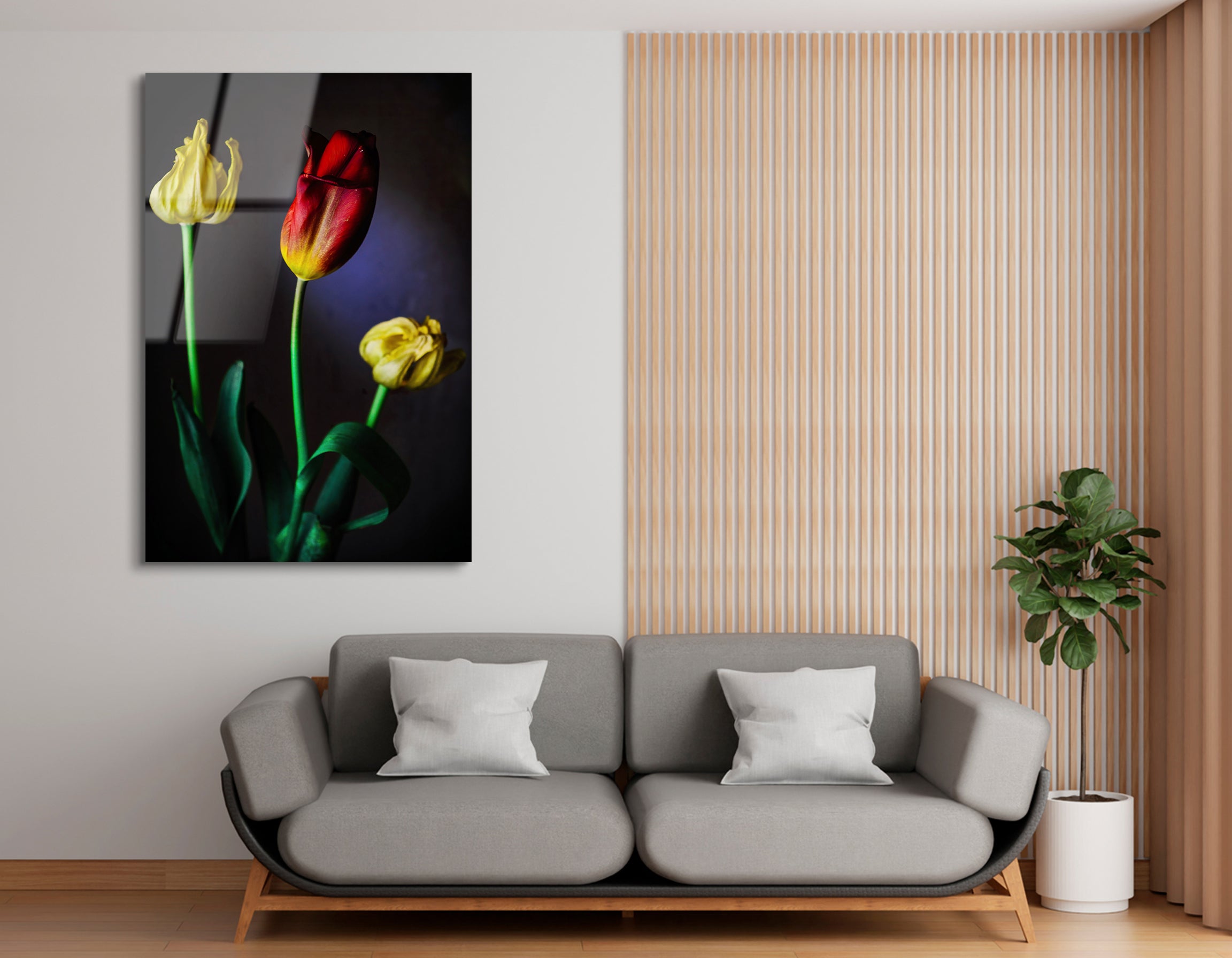 Spring Tulips in Bloom | Premium HD Metal Wall Art
