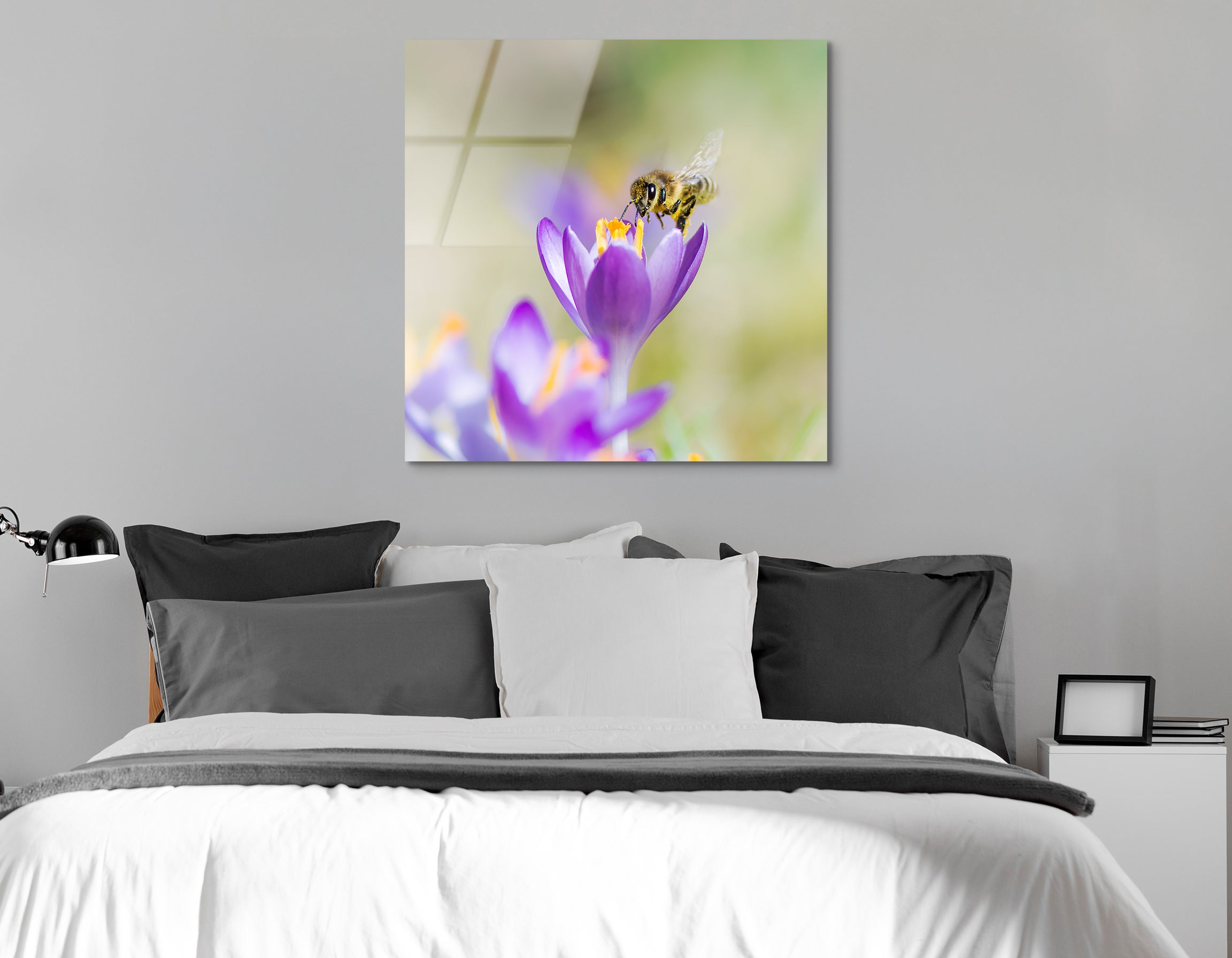 Honeybee on Purple Crocus | Premium HD Metal Wall Art