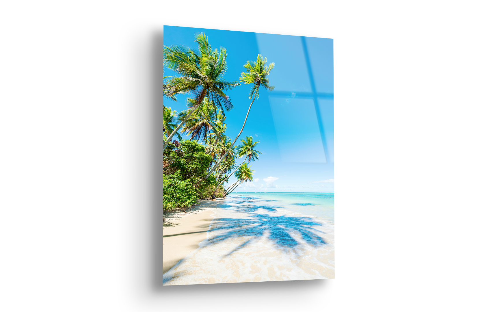 Palm Shadows in Bahia | Premium HD Metal Wall Art