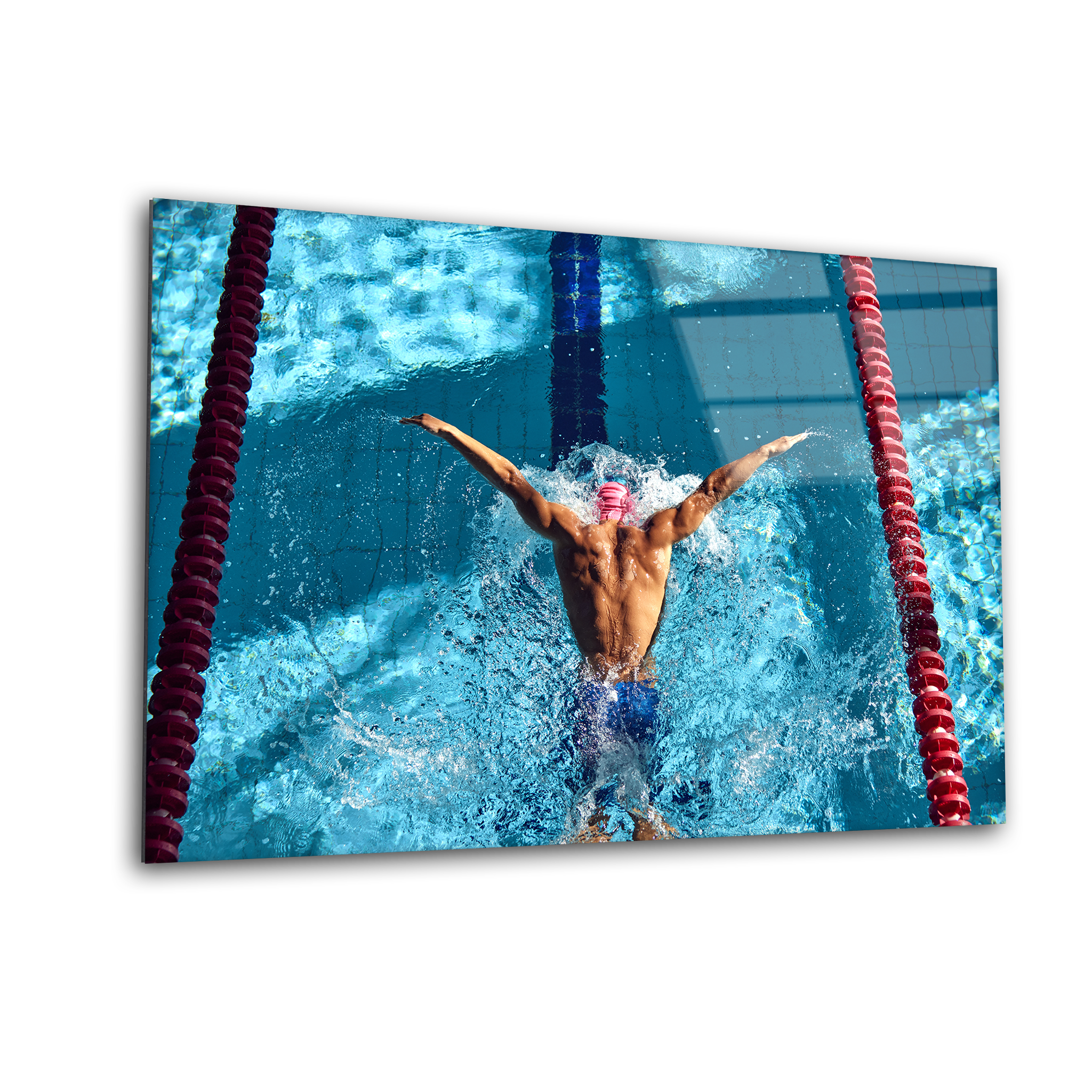 Butterfly Stroke in Action | Premium HD Metal Wall Art