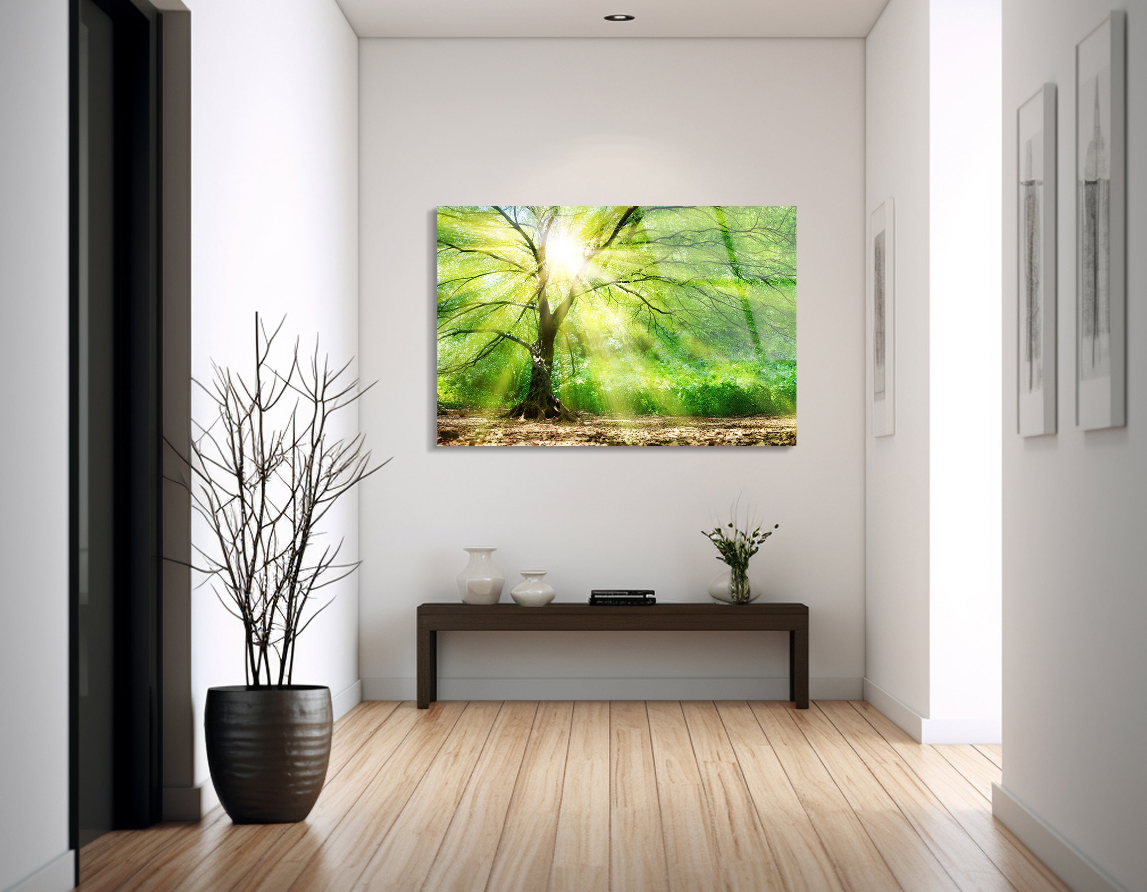 Sunlit Forest Majesty | Premium HD Metal Wall Art - DezignArt