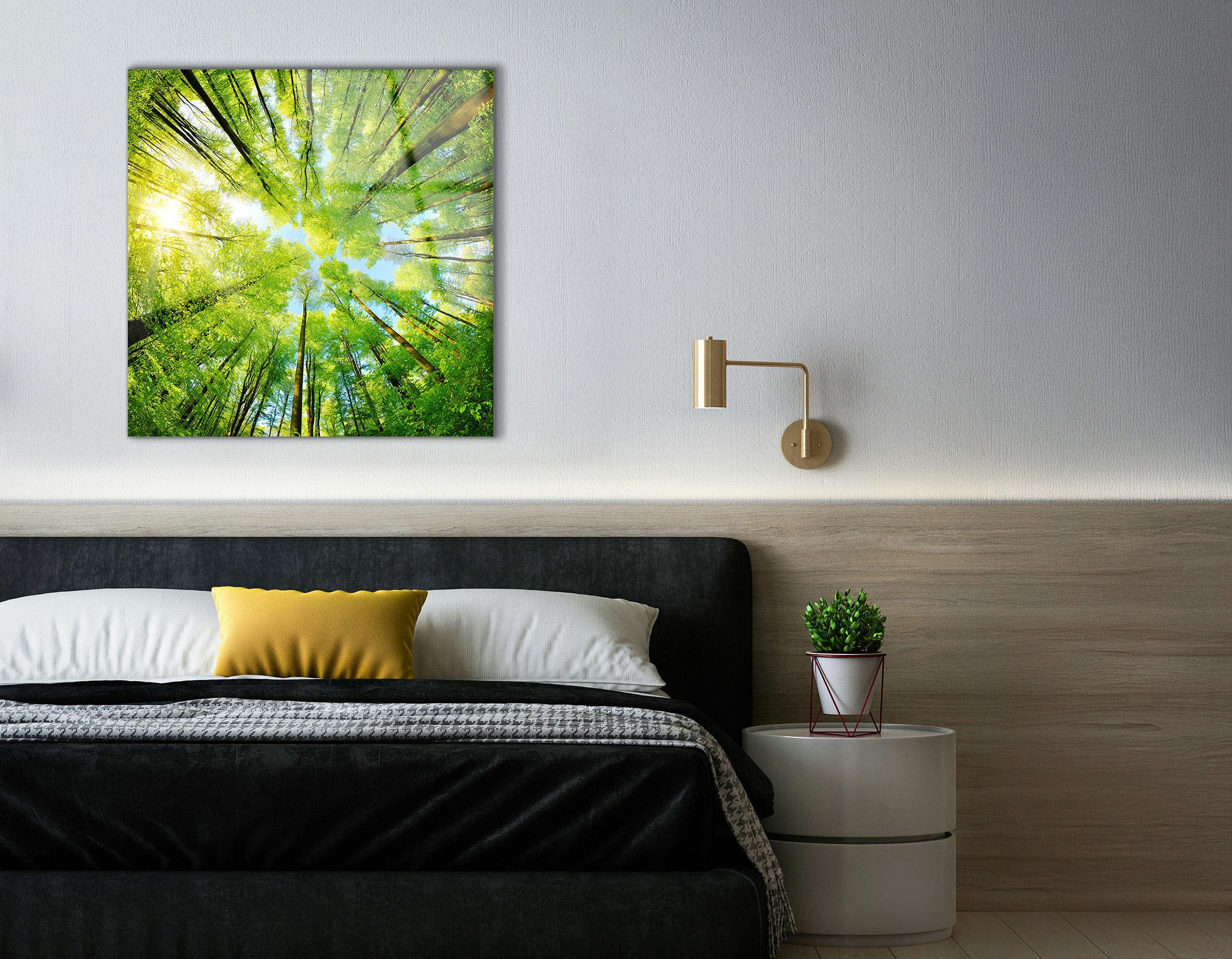 Spherical Panorama of a Forest with Treetop View | Premium HD Metal Wall Art