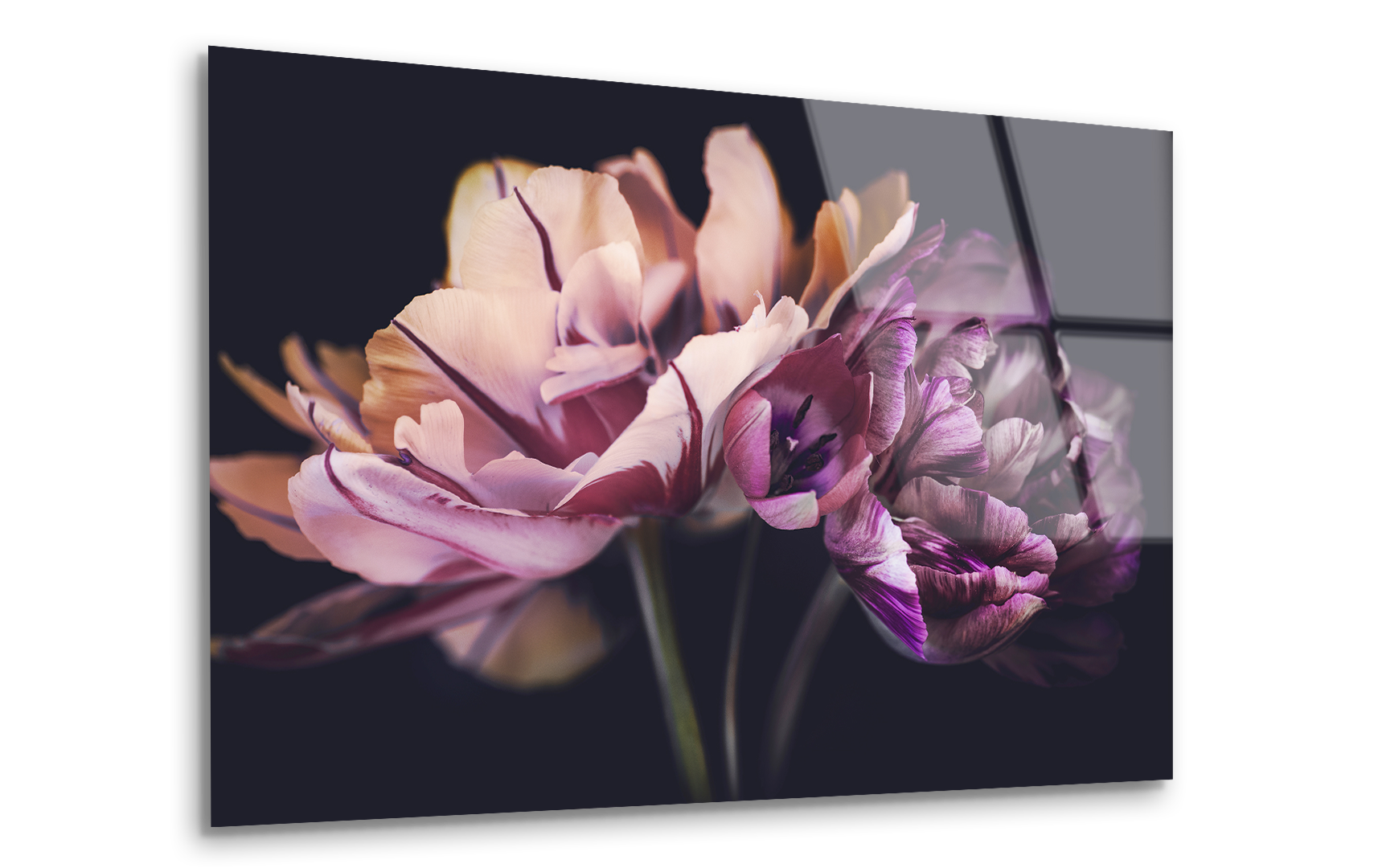 Spring Tulip Bouquet | Premium HD Metal Wall Art - DezignArt
