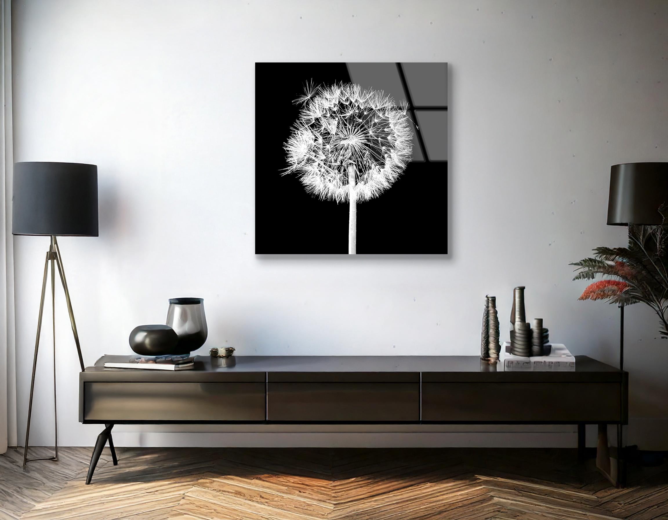 Dandelion Flower on Black Background | Premium HD Metal Wall Art