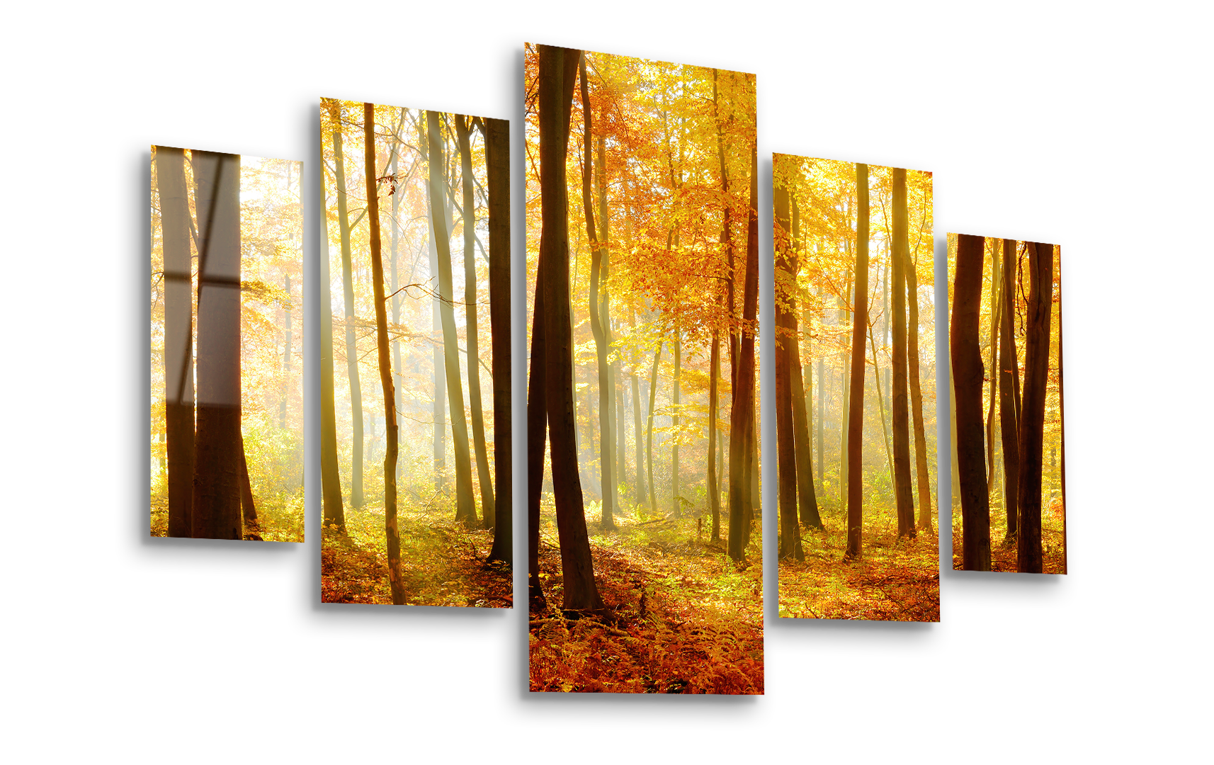 Mega Size Penta Autumn Glow | Premium HD Metal Wall Art