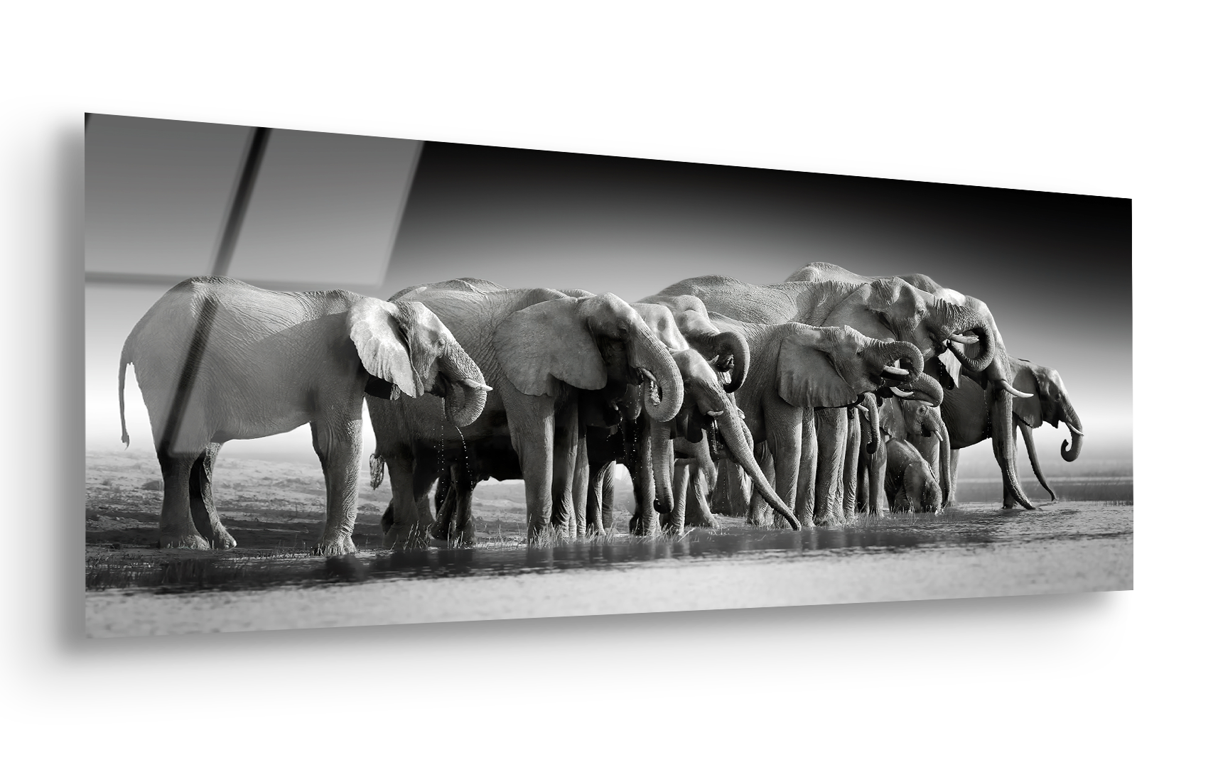 African Elephants by Chobe River | Premium HD Metal Wall Art