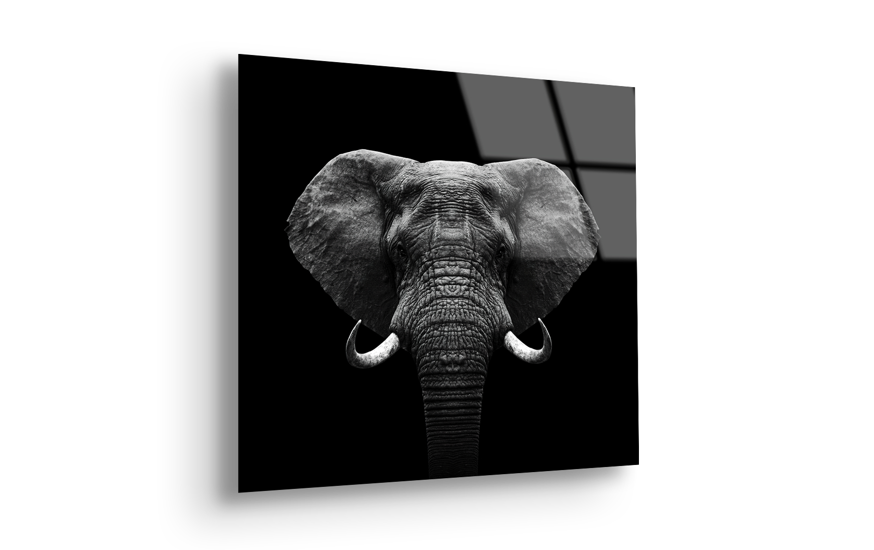 Majestic Elephant | Premium HD Metal Wall Art