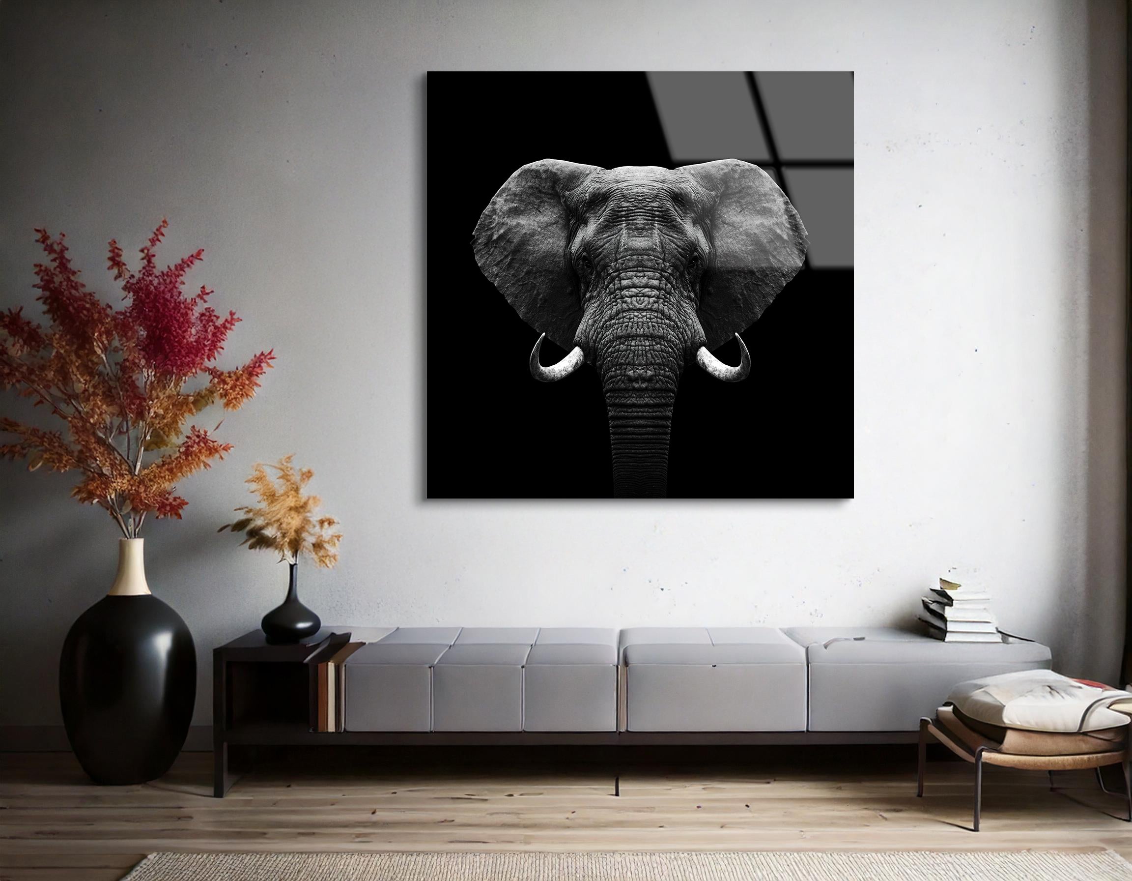 Majestic Elephant | Premium HD Metal Wall Art