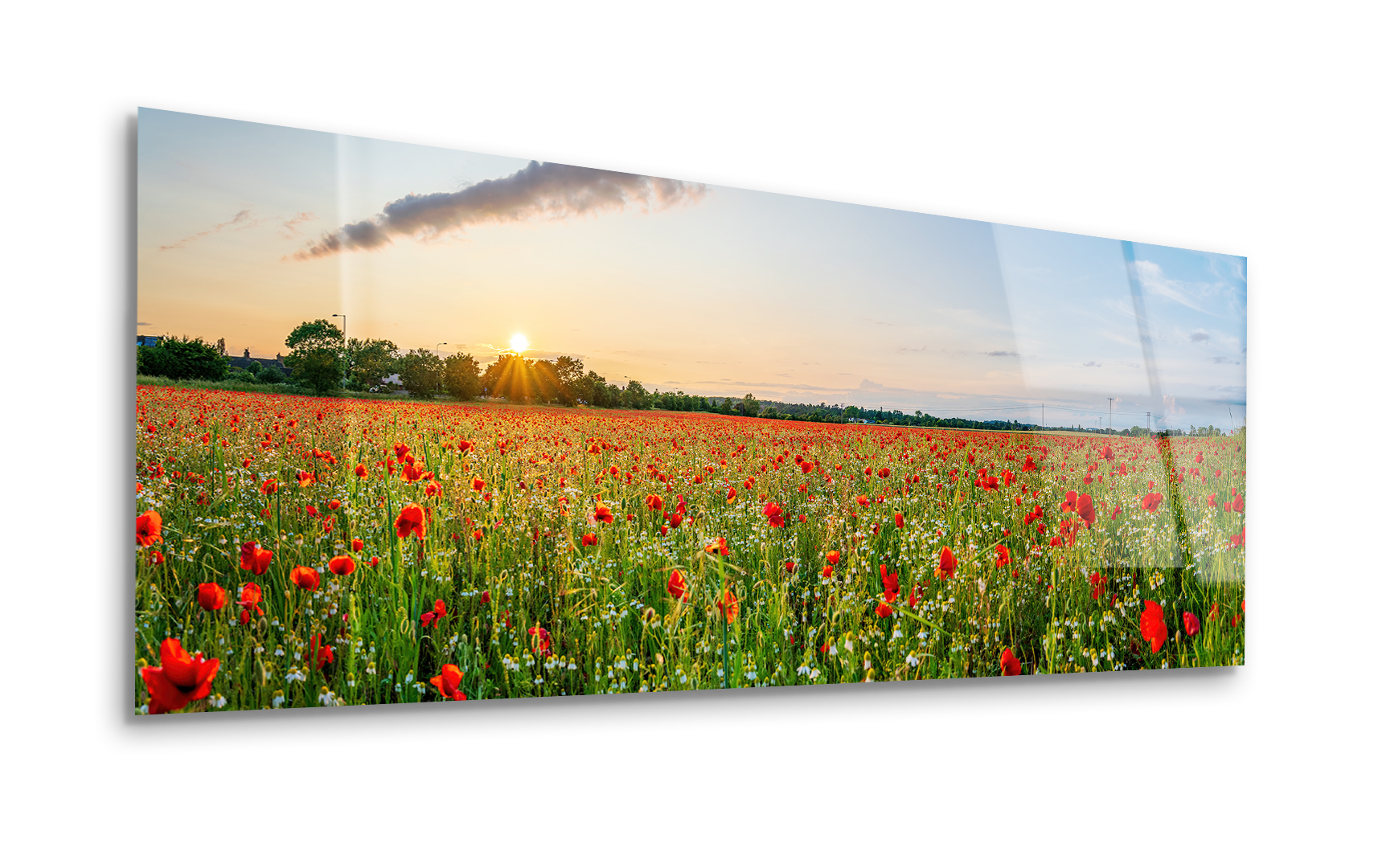 Landscape with Beautiful Sunset Over Poppy Field | Premium HD Metal Wall Art