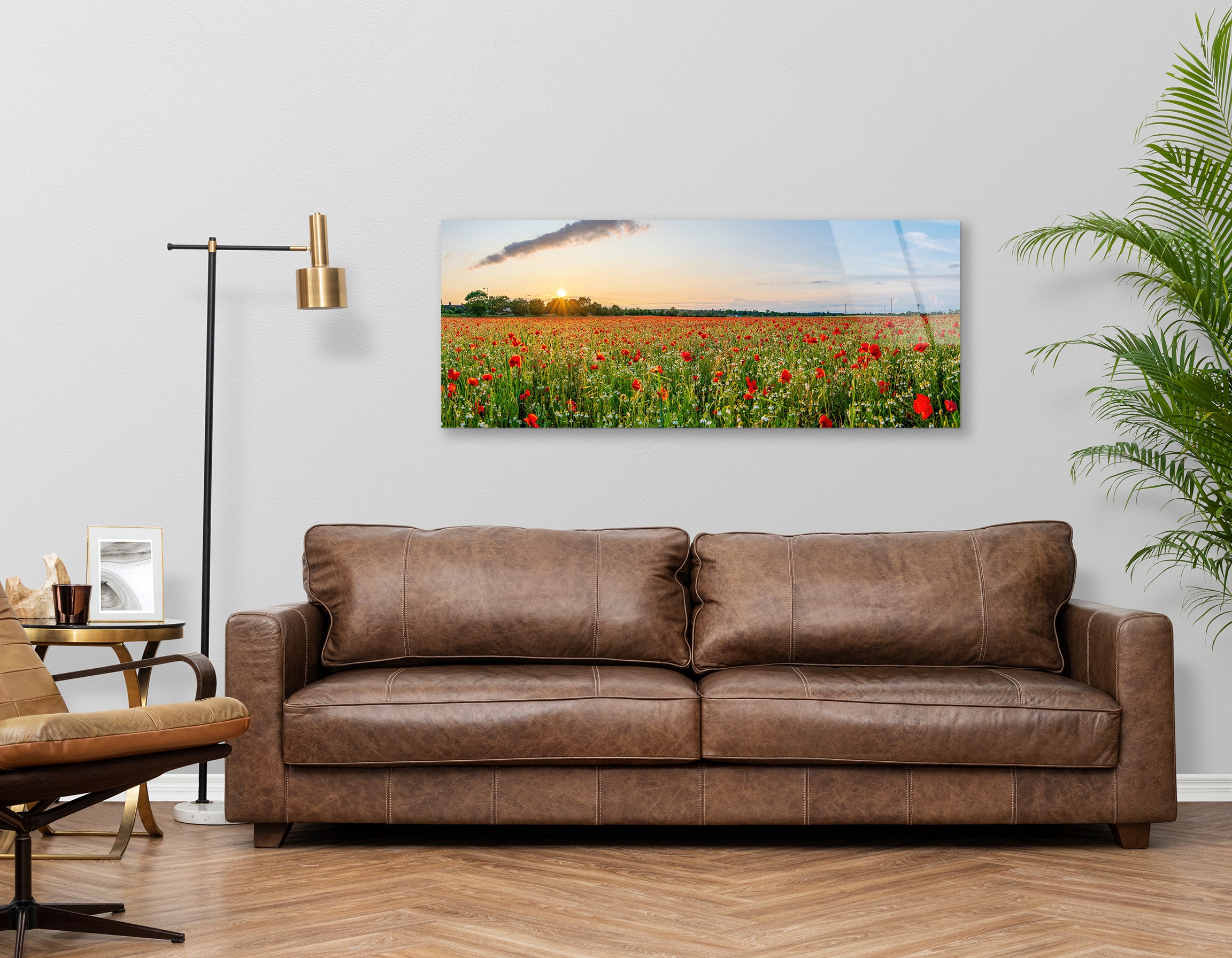 Landscape with Beautiful Sunset Over Poppy Field | Premium HD Metal Wall Art