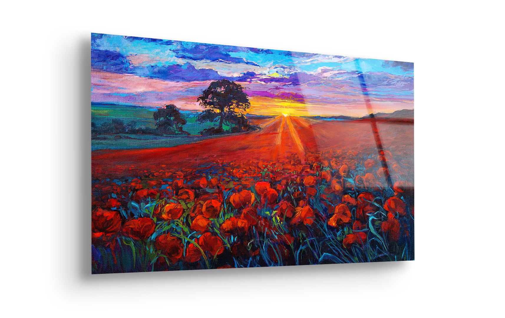 Oil Painting Opium Poppy Field at Sunset | Premium HD Metal Wall Art